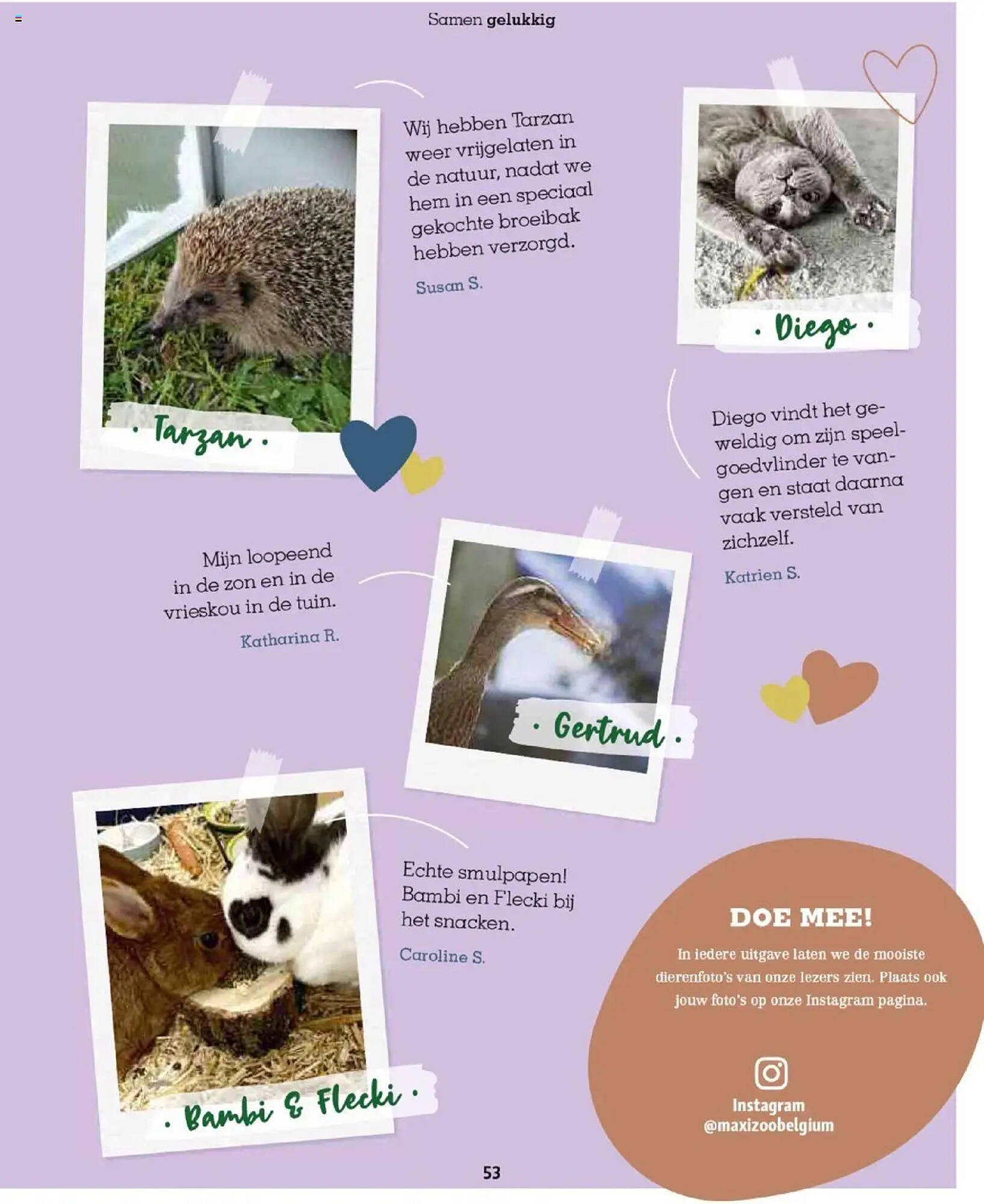Maxi Zoo folder (2025-10-01 - 2025-12-01)