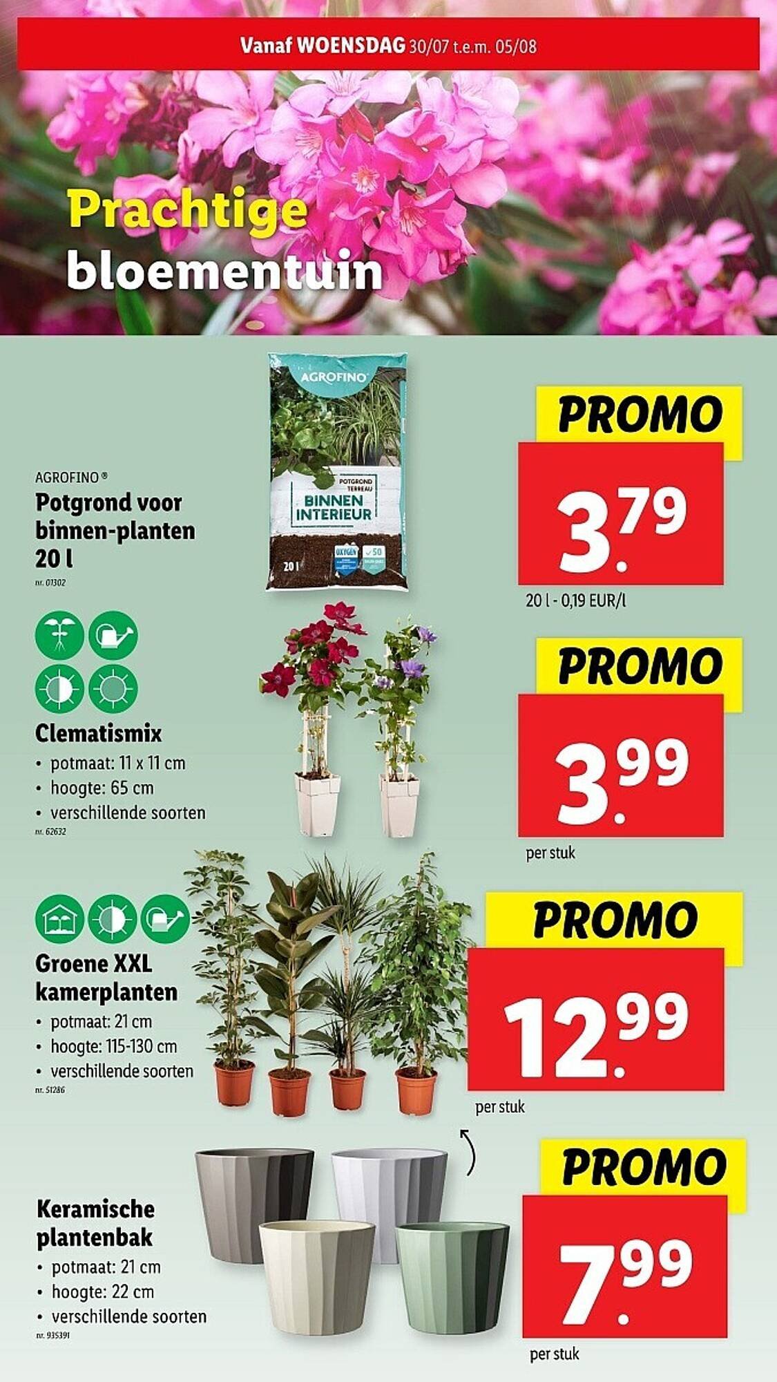 Lidl folder (2025-07-30 - 2025-08-05)