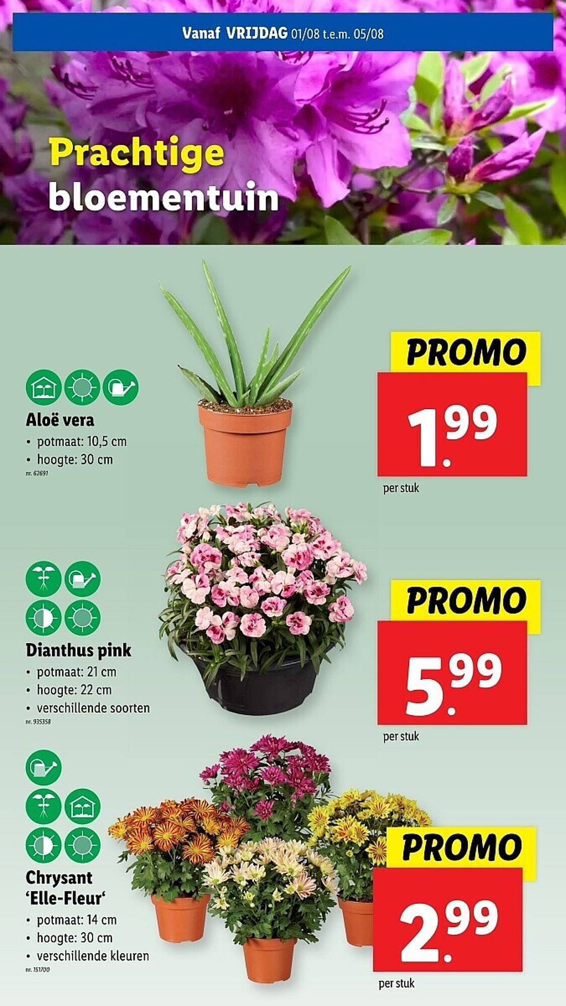 Lidl folder (2025-07-30 - 2025-08-05)