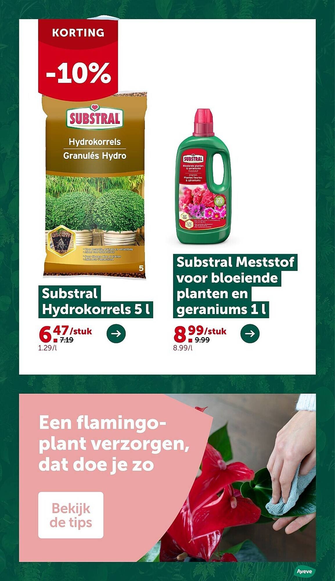 AVEVE folder (2025-12-10 - 2025-12-21)