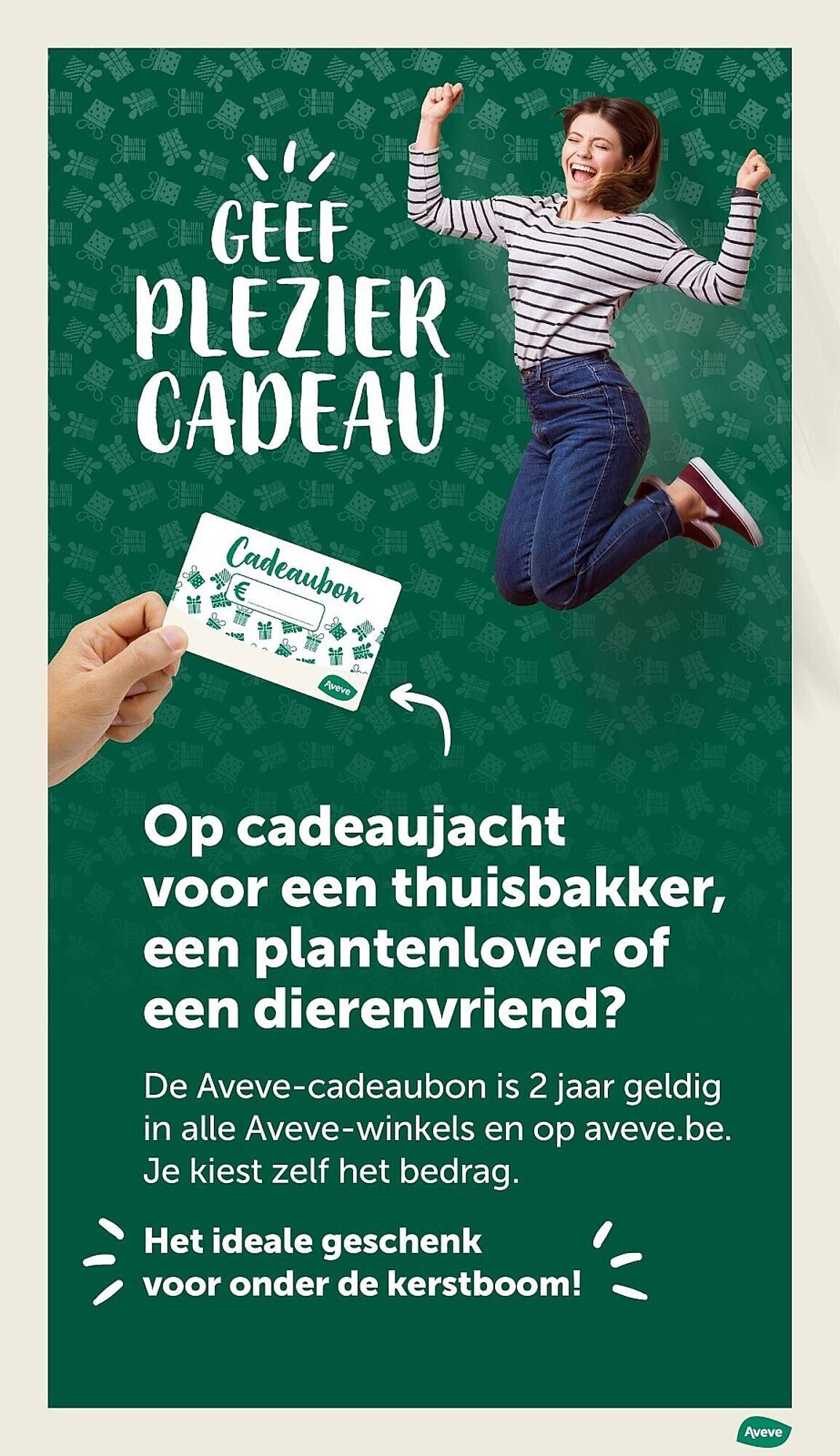 AVEVE folder (2025-12-10 - 2025-12-21)