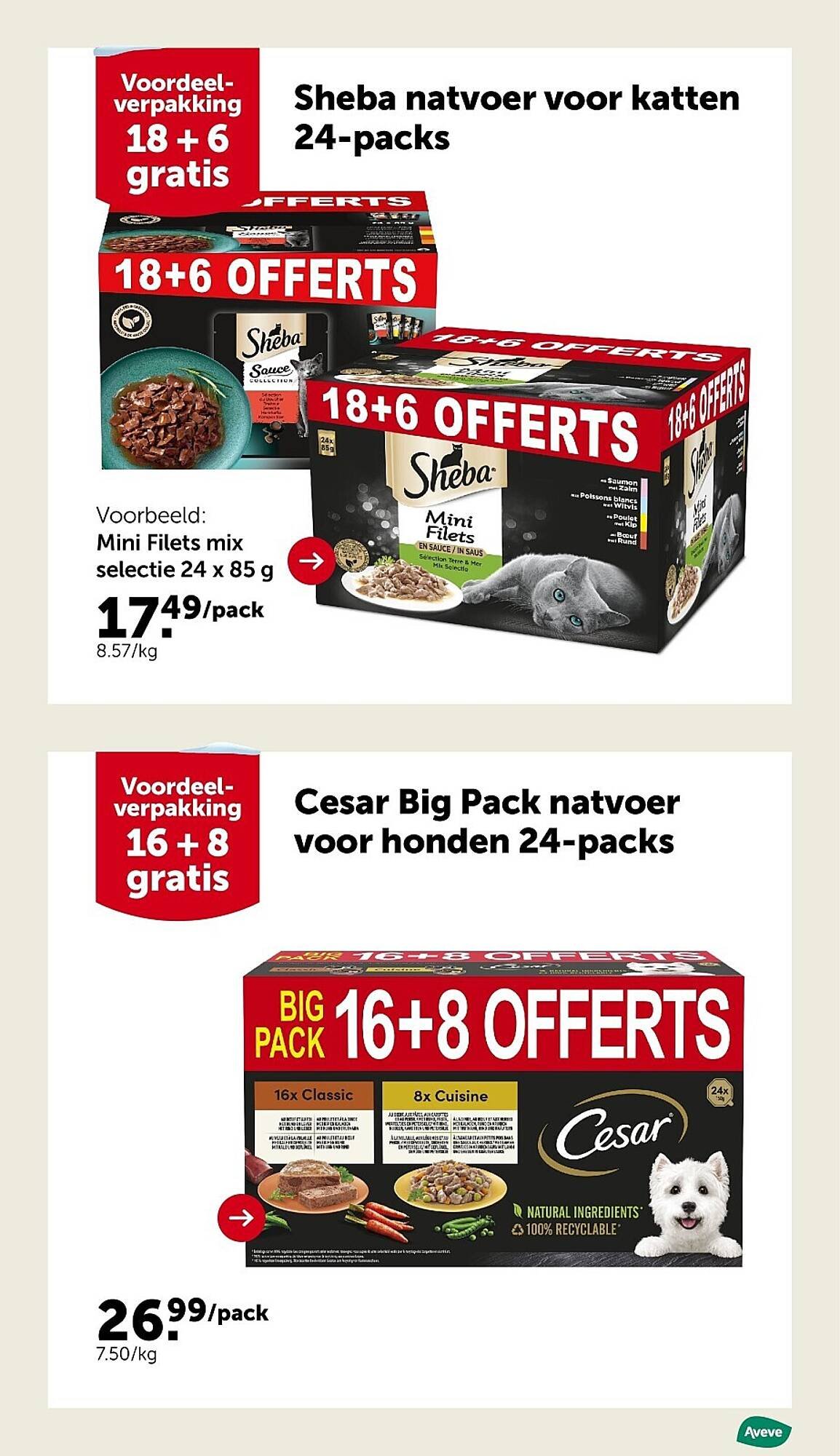 AVEVE folder (2025-12-10 - 2025-12-21)