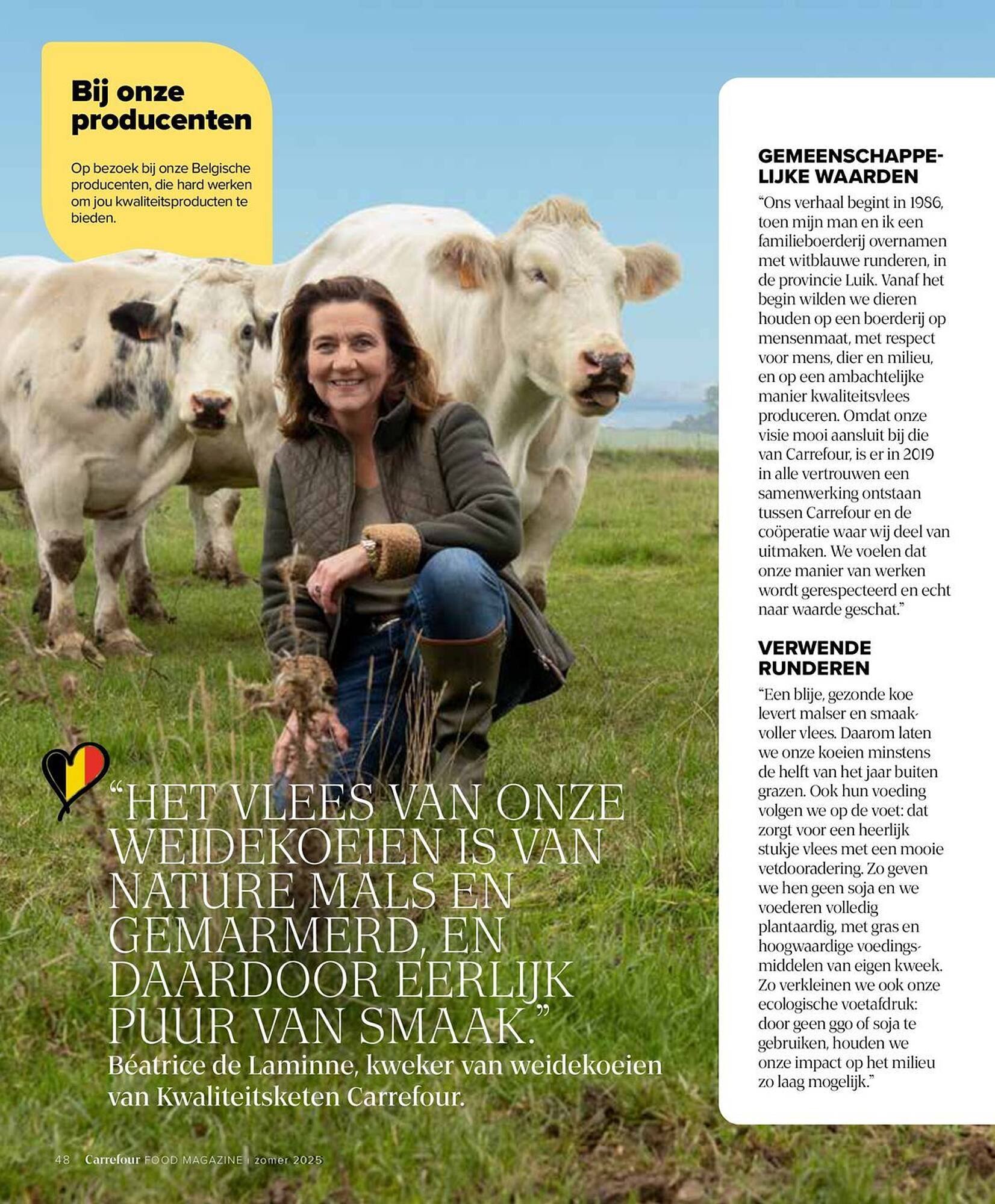 Carrefour Market folder (2025-07-17 - 2025-08-28)
