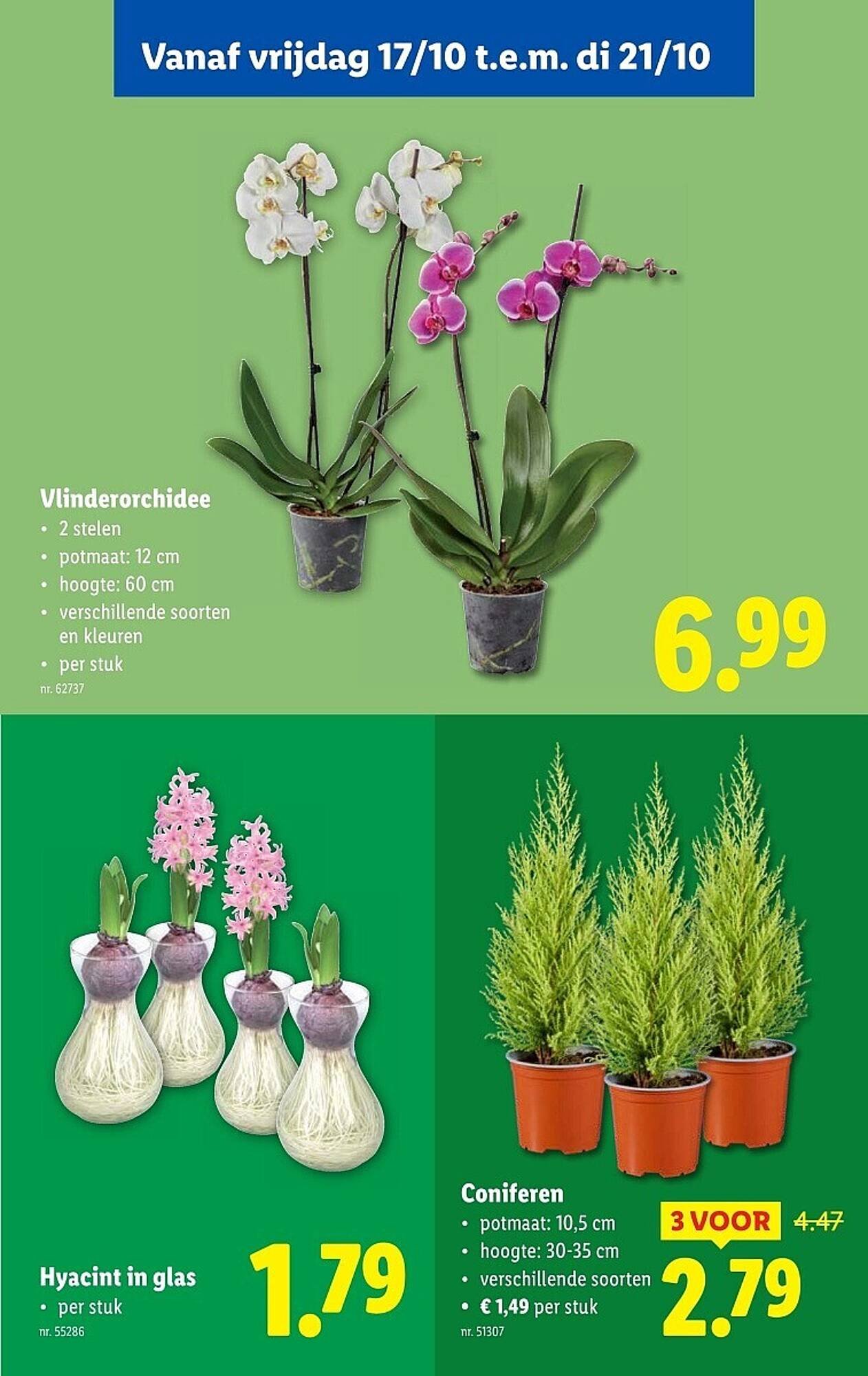 Lidl folder (2025-10-15 - 2025-10-21)
