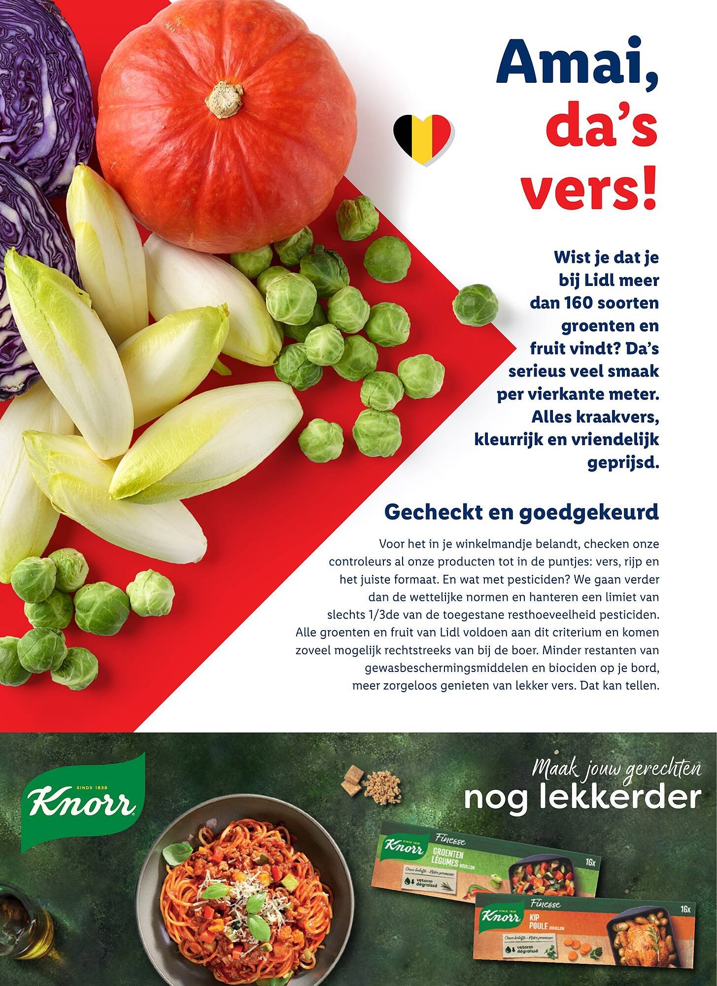Lidl magazine (2025-11-03 - 2026-01-04)
