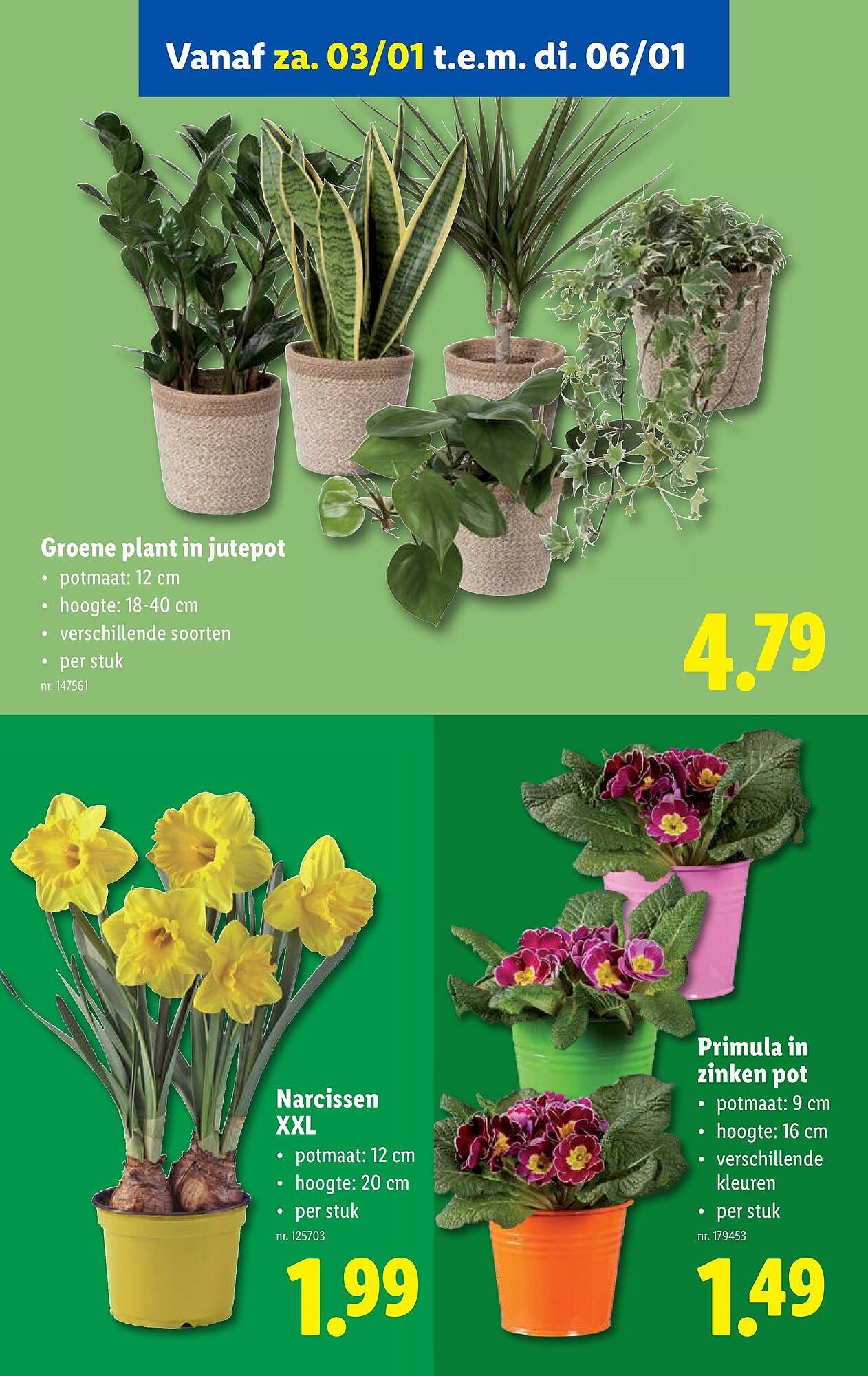 Lidl folder (2025-12-29 - 2026-01-03)