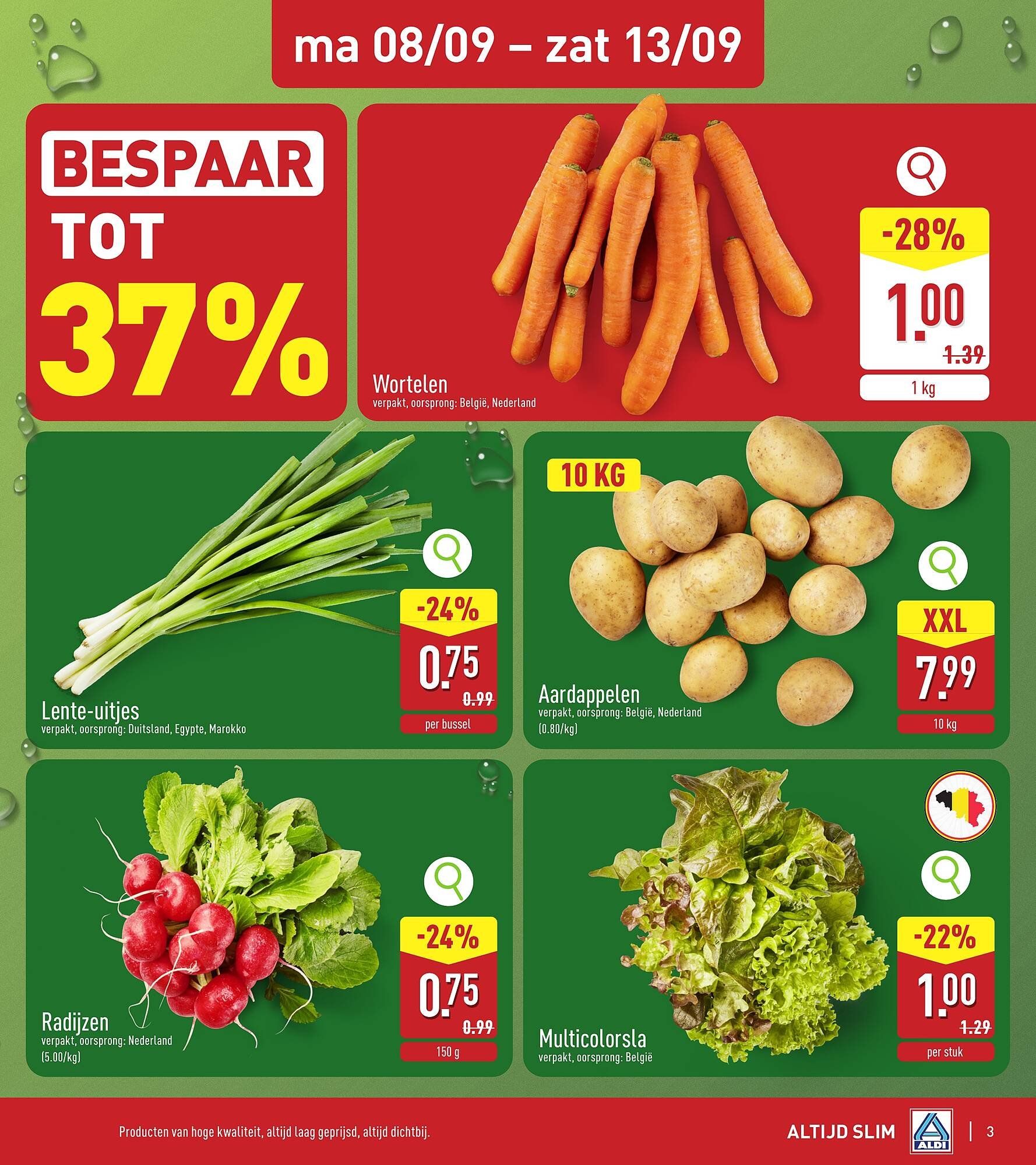 ALDI folder week 37 (2025-09-08 - 2025-09-13)
