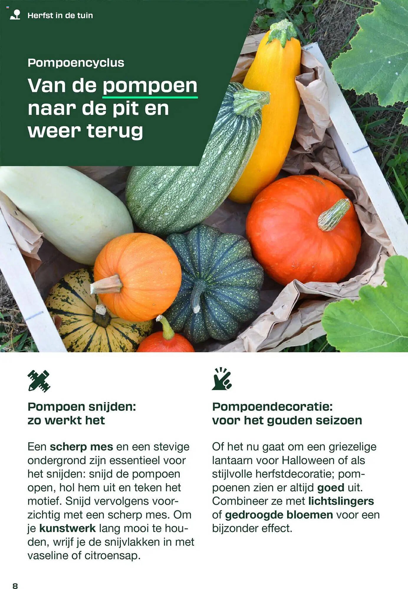 Lidl folder (2025-09-01 - 2025-09-23)