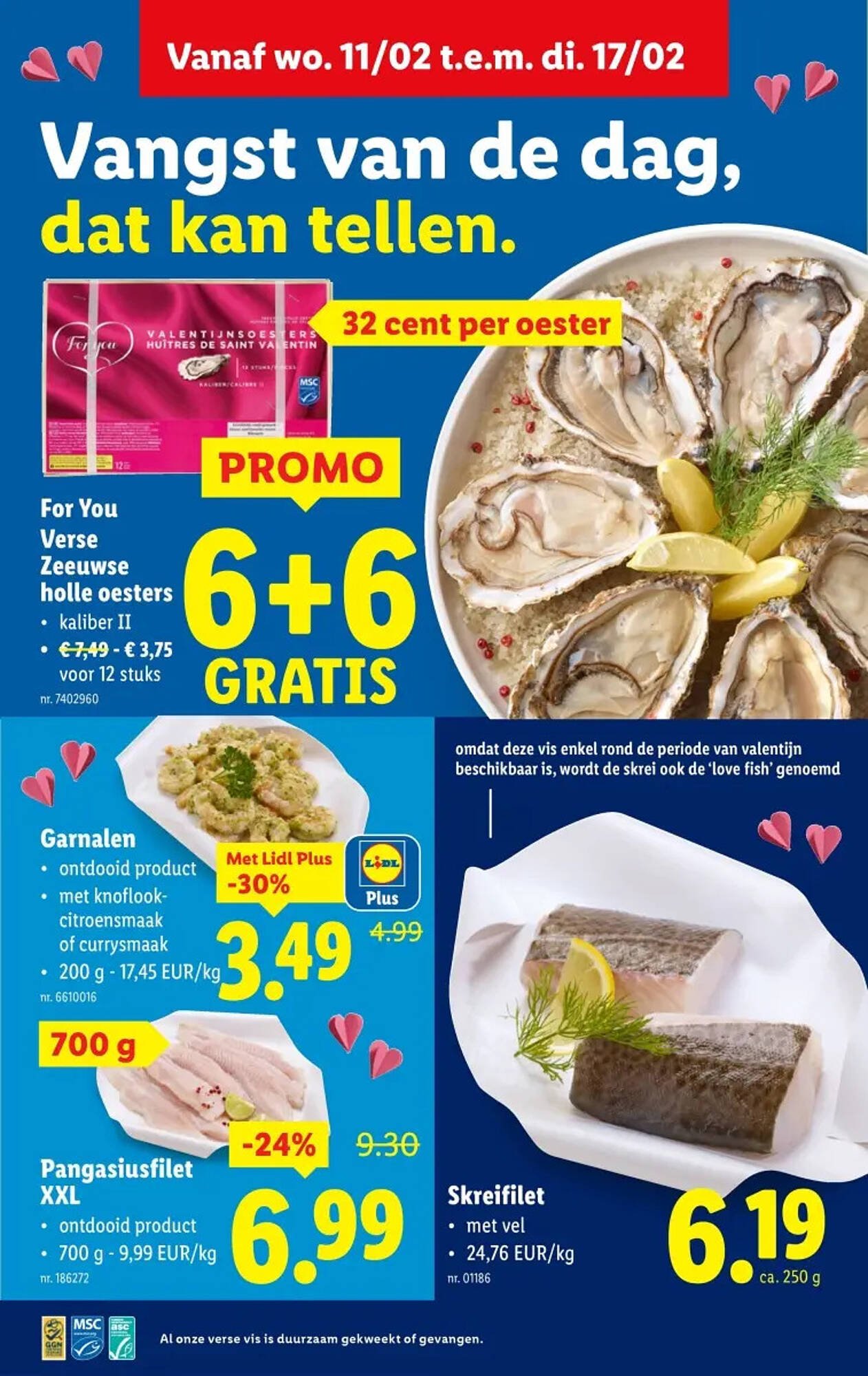 Lidl folder (2026-02-11 - 2026-02-17)