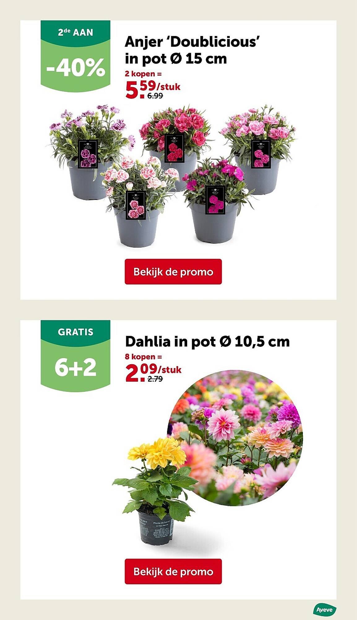 AVEVE folder (2026-03-25 - 2026-04-05)