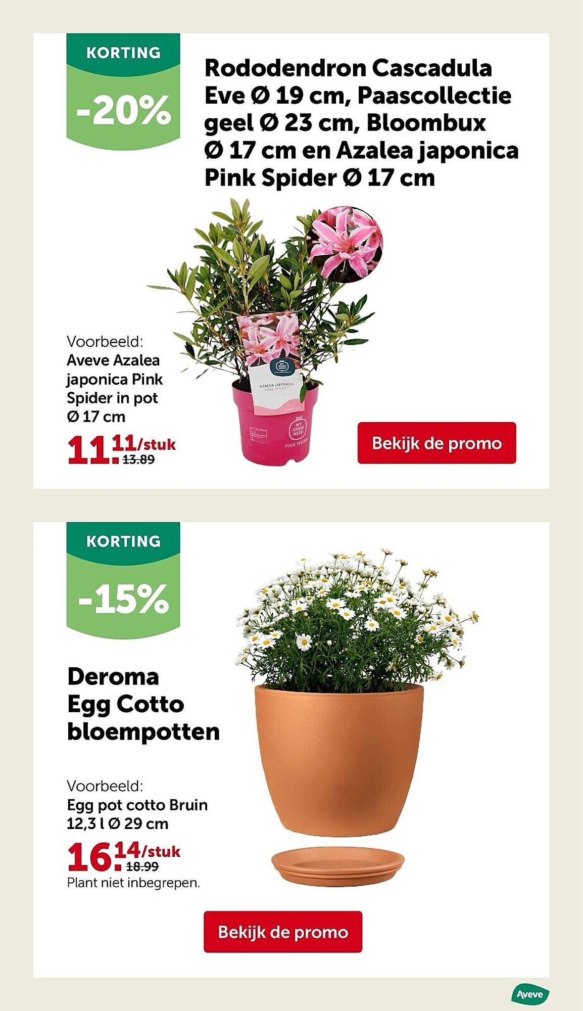 AVEVE folder (2026-03-25 - 2026-04-05)