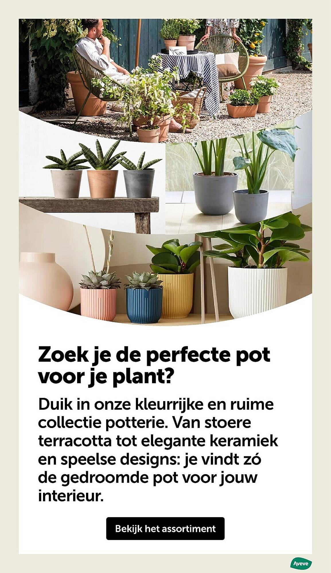 AVEVE folder (2026-03-25 - 2026-04-05)