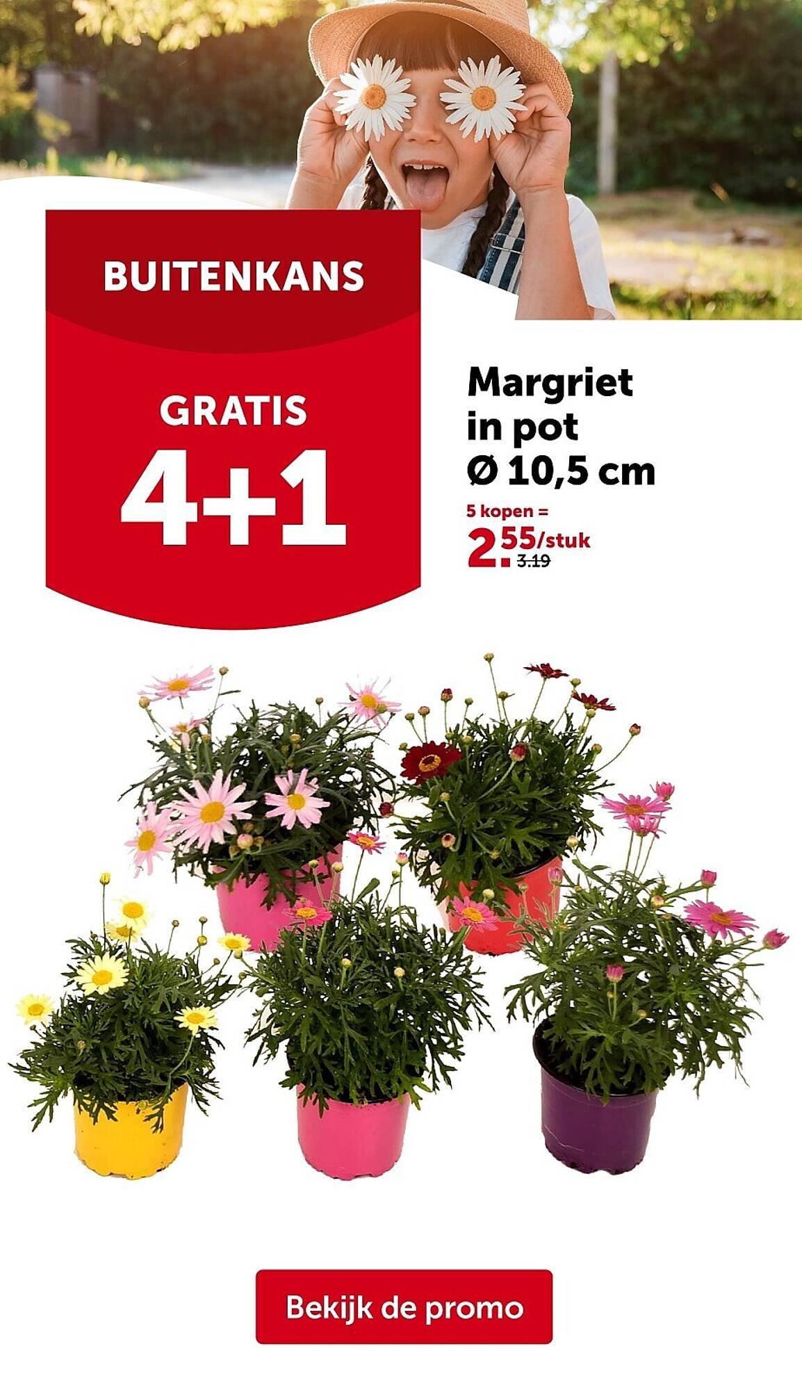 AVEVE folder (2026-03-25 - 2026-04-05)