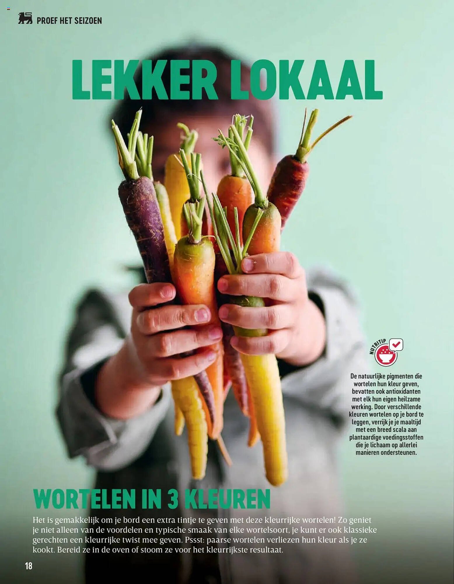 Delhaize folder (2025-10-06 - 2025-11-30)