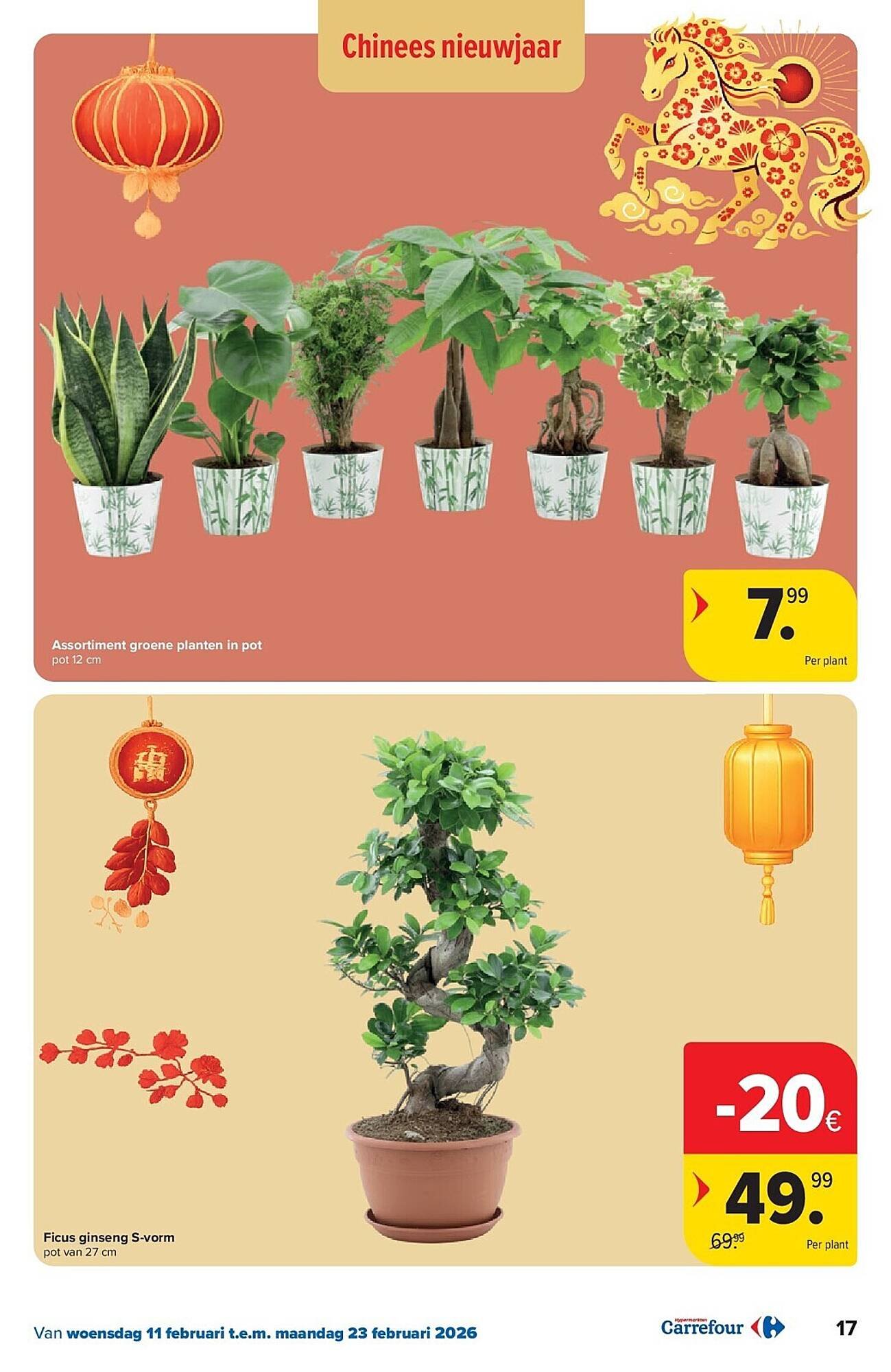 Carrefour folder (2026-02-11 - 2026-02-23)