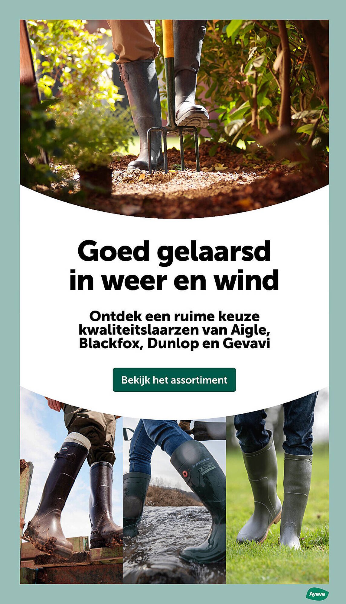 AVEVE folder (2026-01-21 - 2026-01-25)