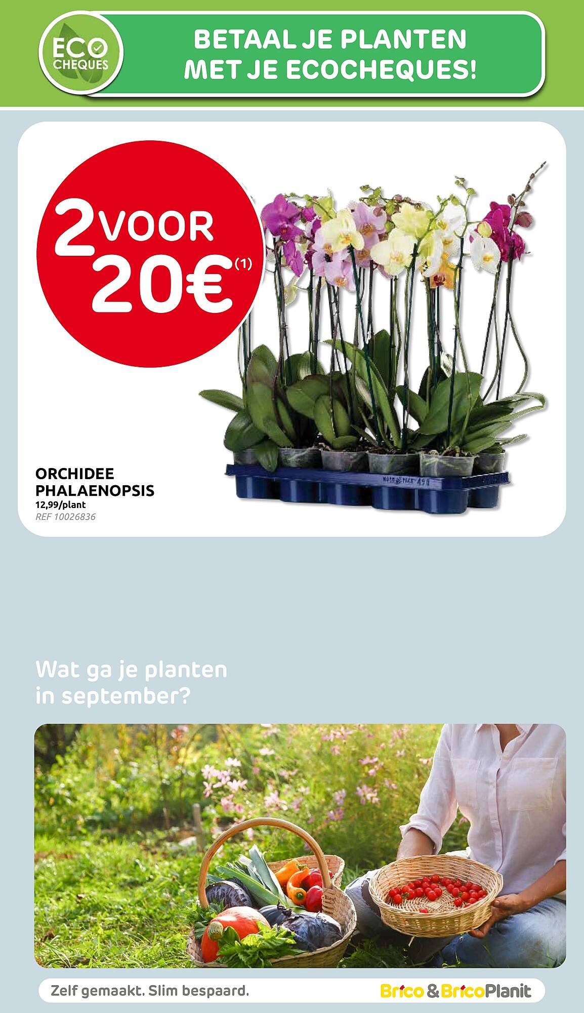 BricoPlanit folder (2025-09-10 - 2025-09-29)