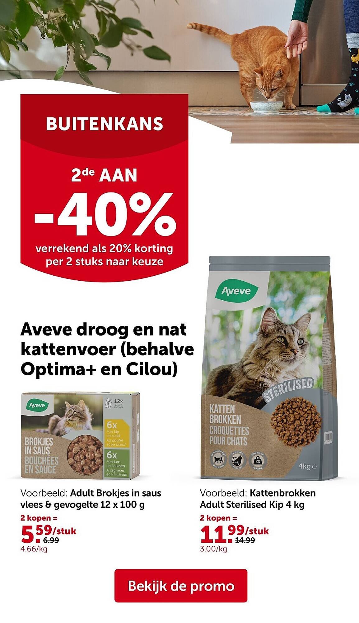 AVEVE folder (2026-04-08 - 2026-04-19)