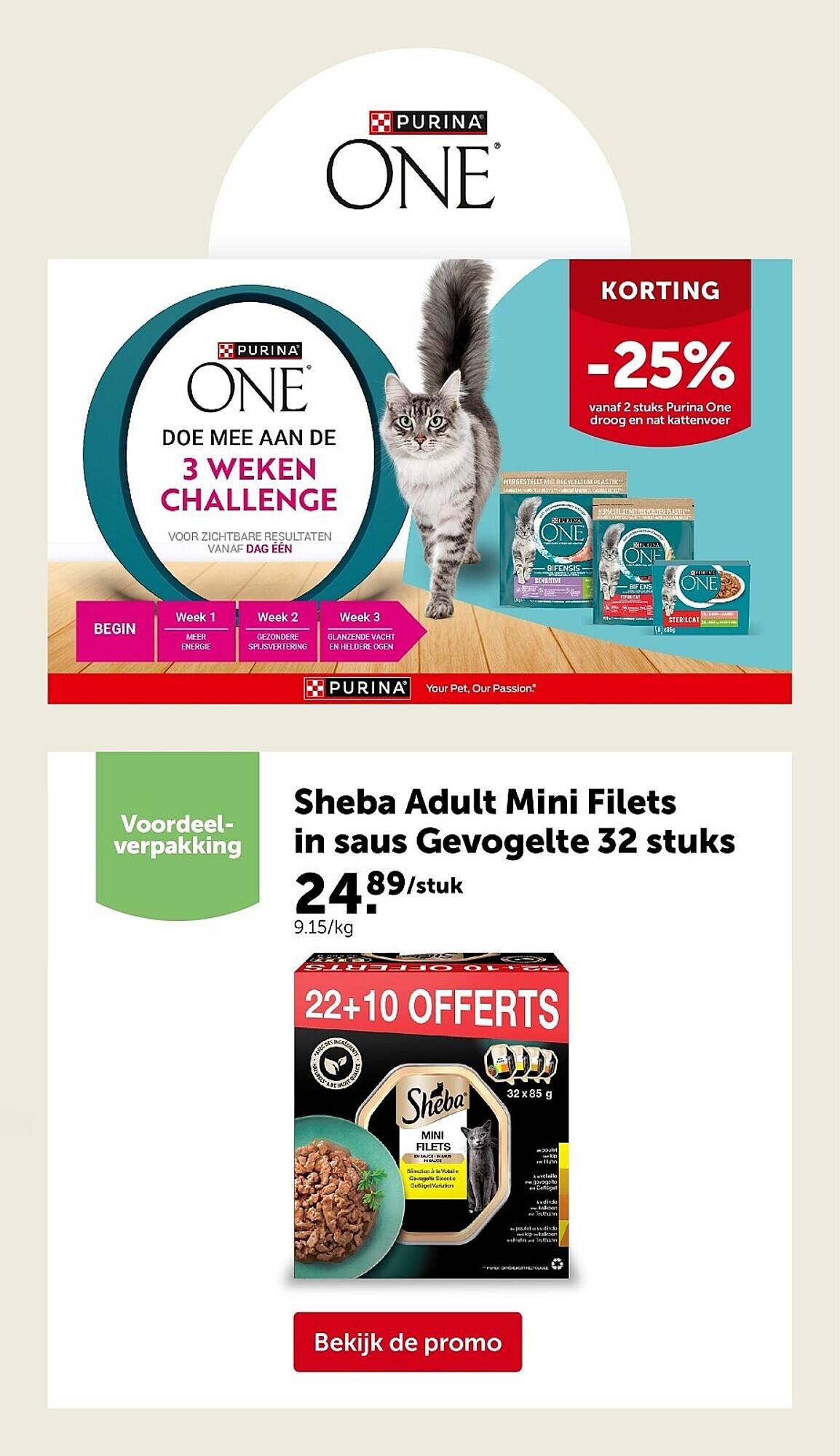 AVEVE folder (2026-04-08 - 2026-04-19)