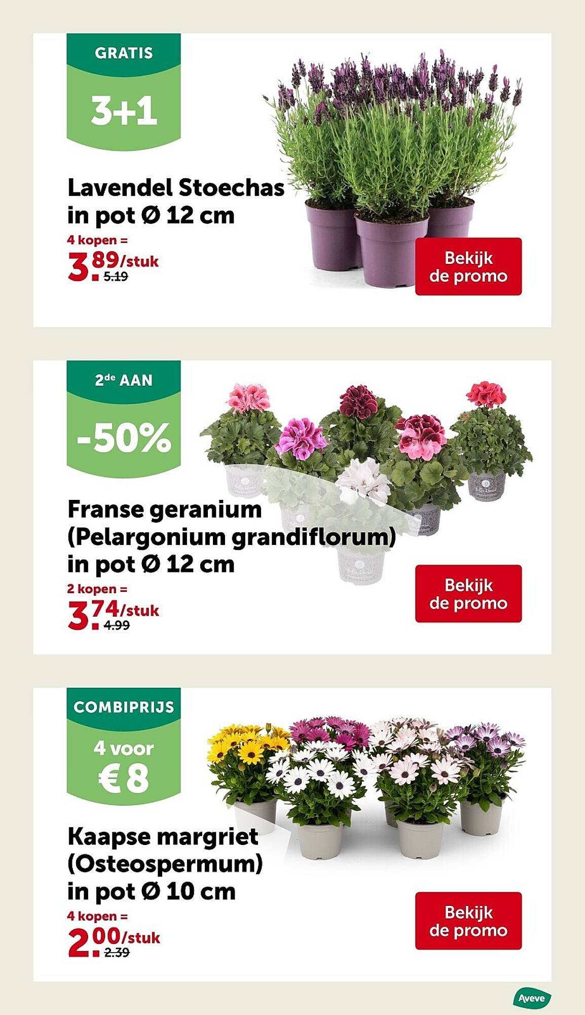 AVEVE folder (2026-04-08 - 2026-04-19)