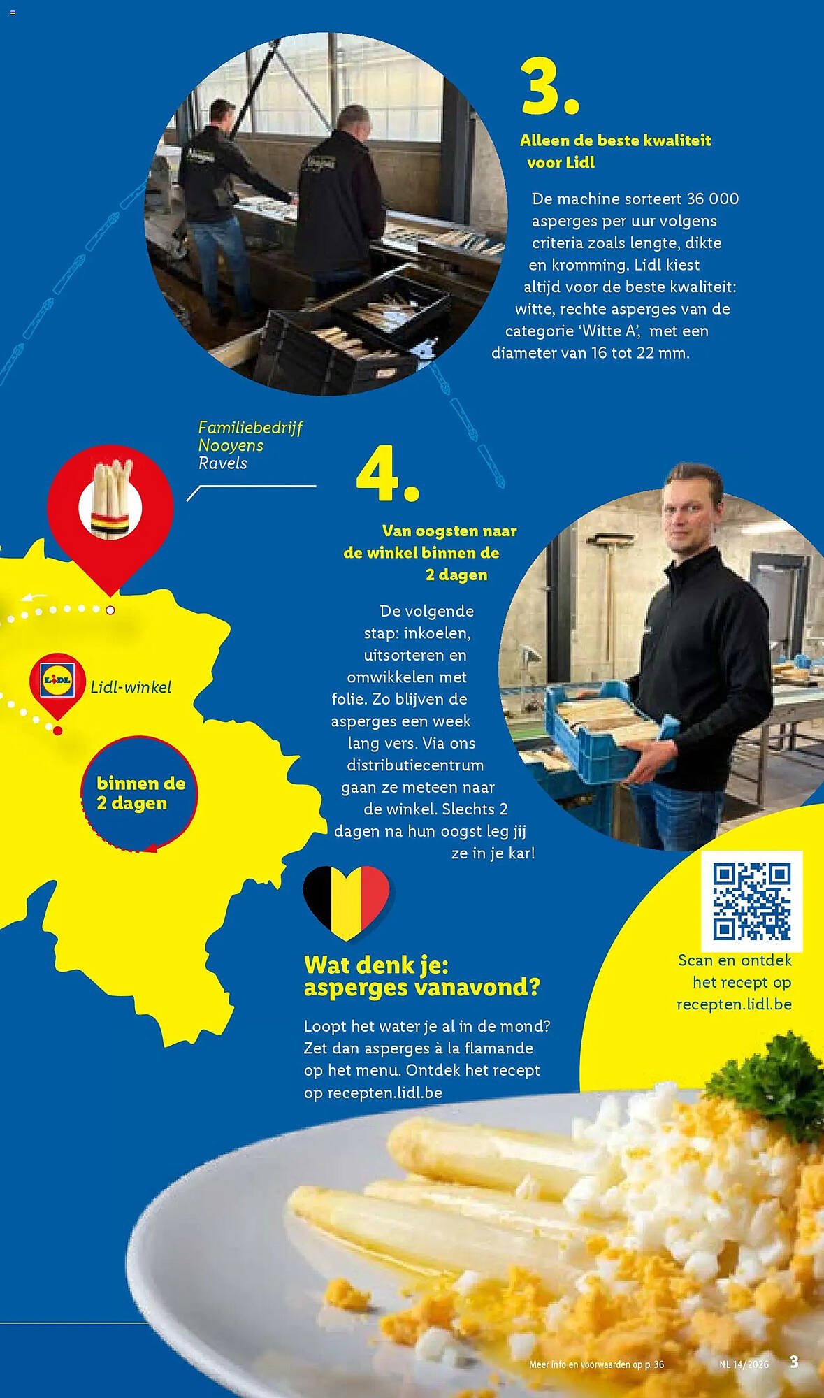 Lidl folder (2026-03-30 - 2026-04-04)