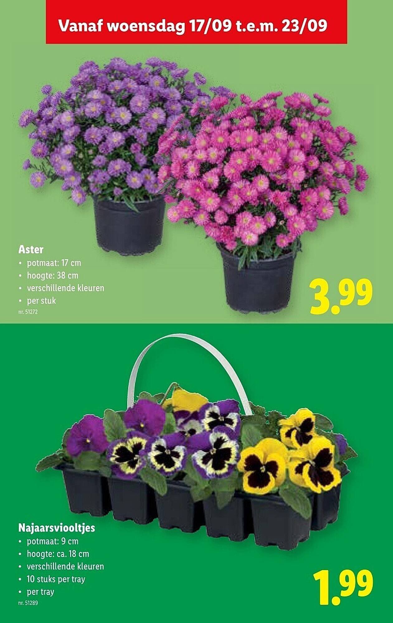 Lidl folder (2025-09-17 - 2025-09-23)