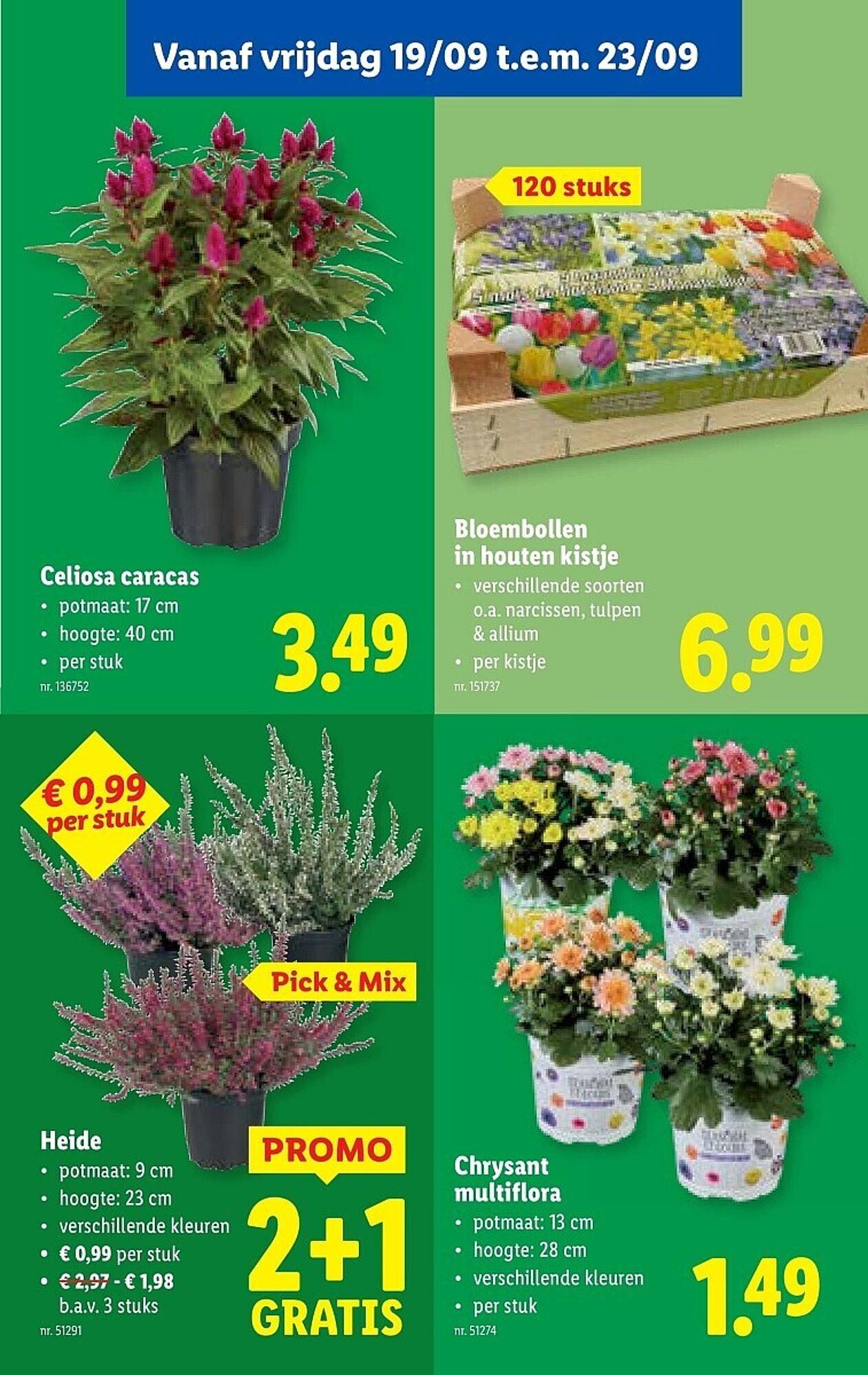 Lidl folder (2025-09-17 - 2025-09-23)