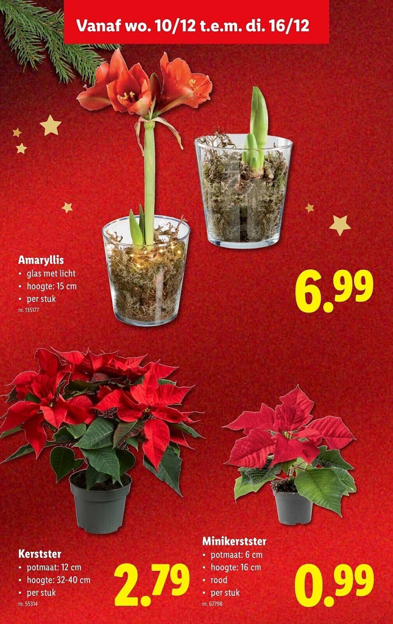 Lidl folder (2025-12-10 - 2025-12-16)