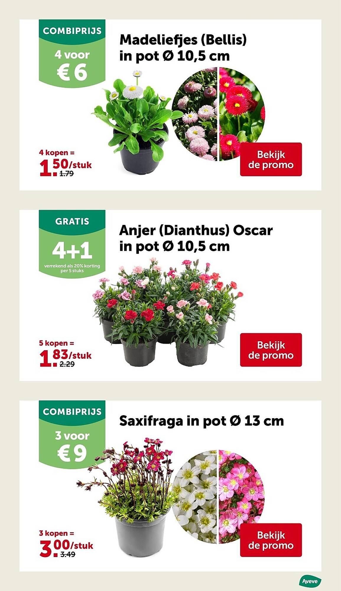 AVEVE folder (2026-02-25 - 2026-03-08)