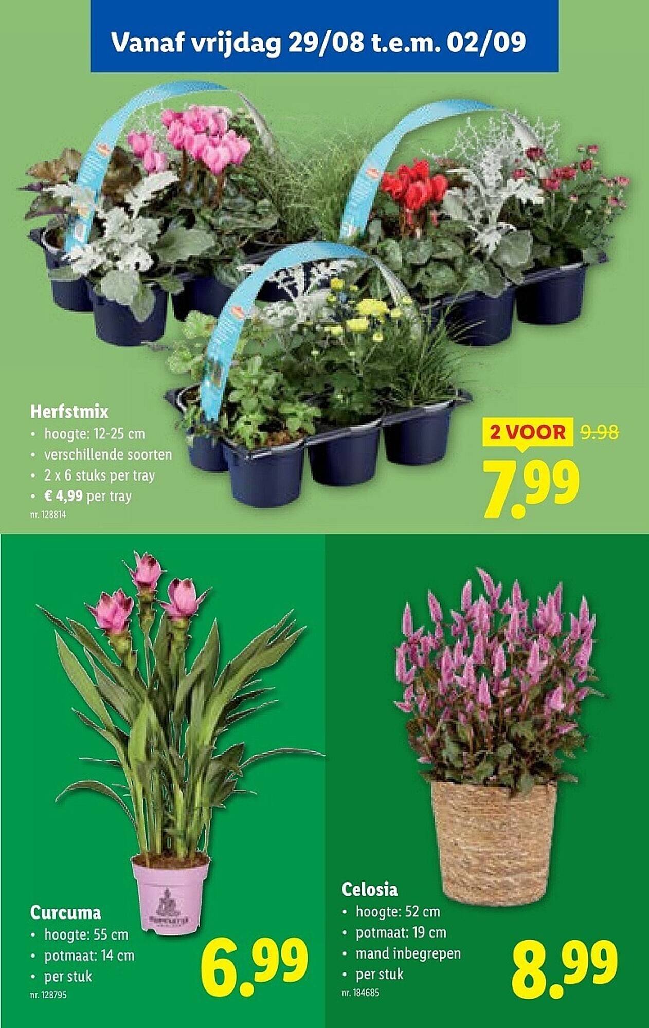 Lidl folder (2025-08-27 - 2025-09-02)