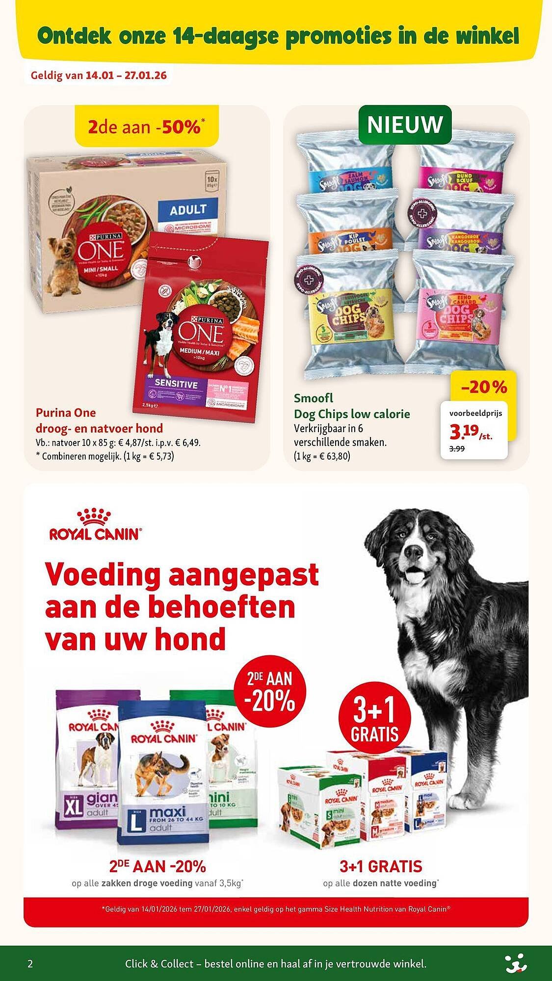 Maxi Zoo folder (2026-01-07 - 2026-02-03)