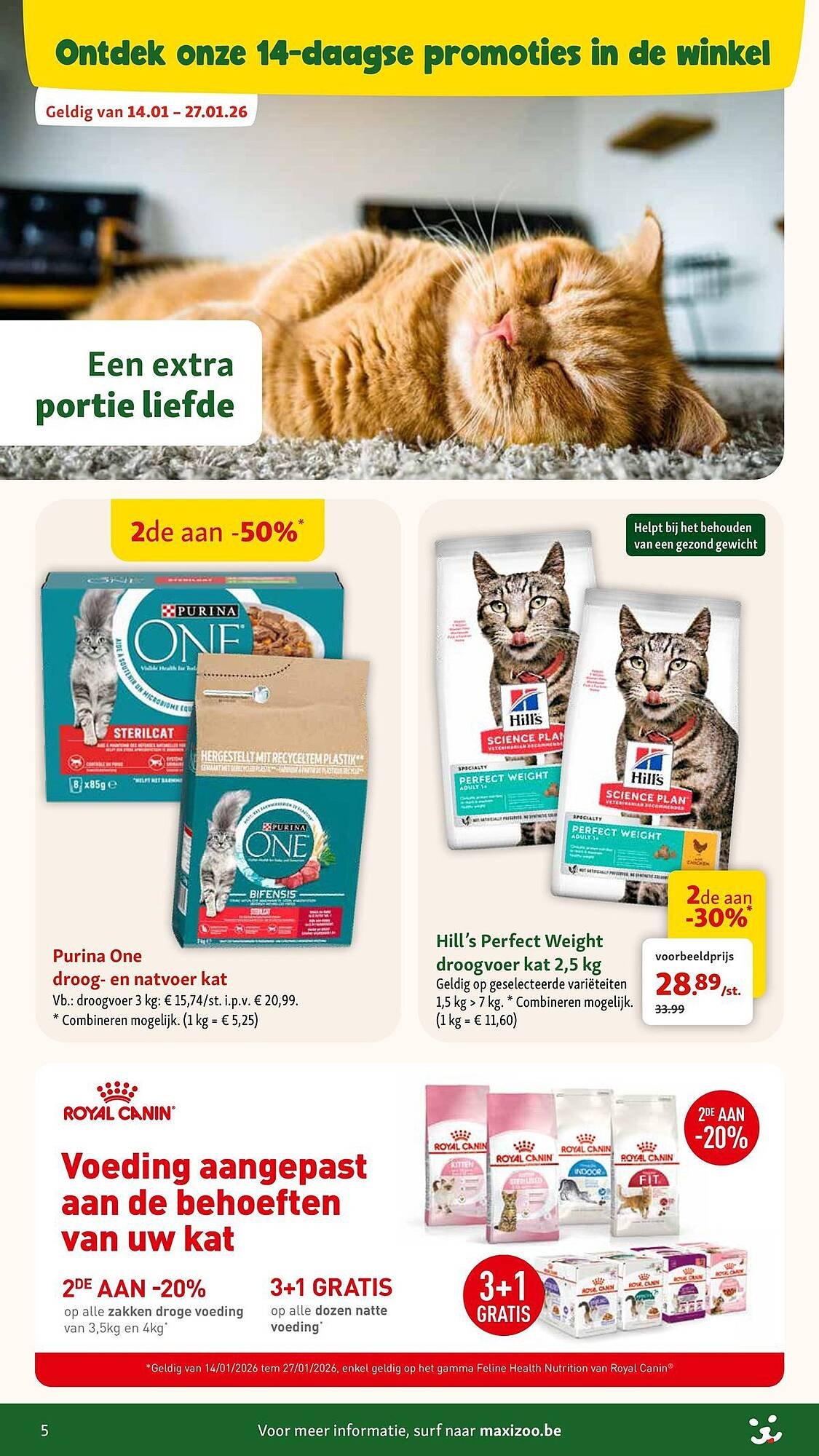 Maxi Zoo folder (2026-01-07 - 2026-02-03)