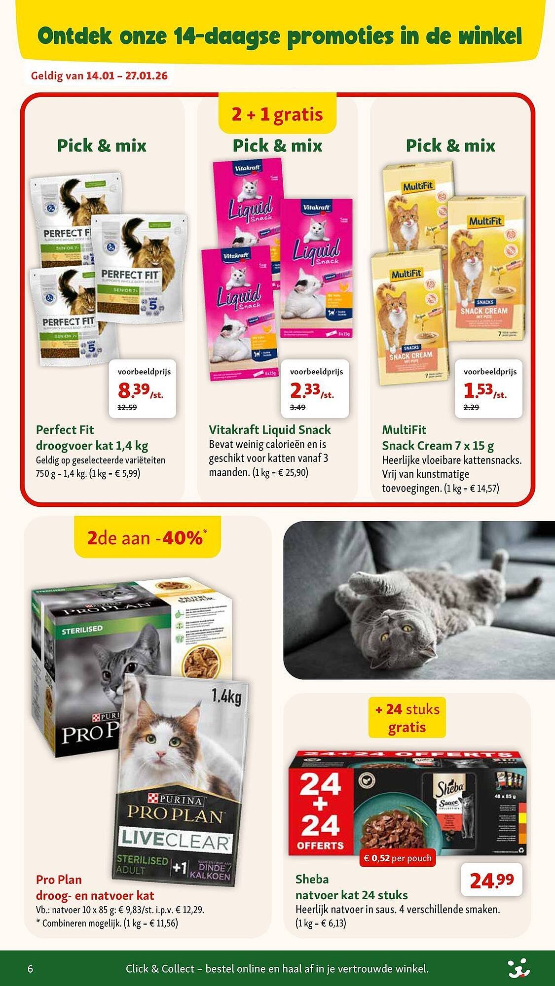 Maxi Zoo folder (2026-01-07 - 2026-02-03)