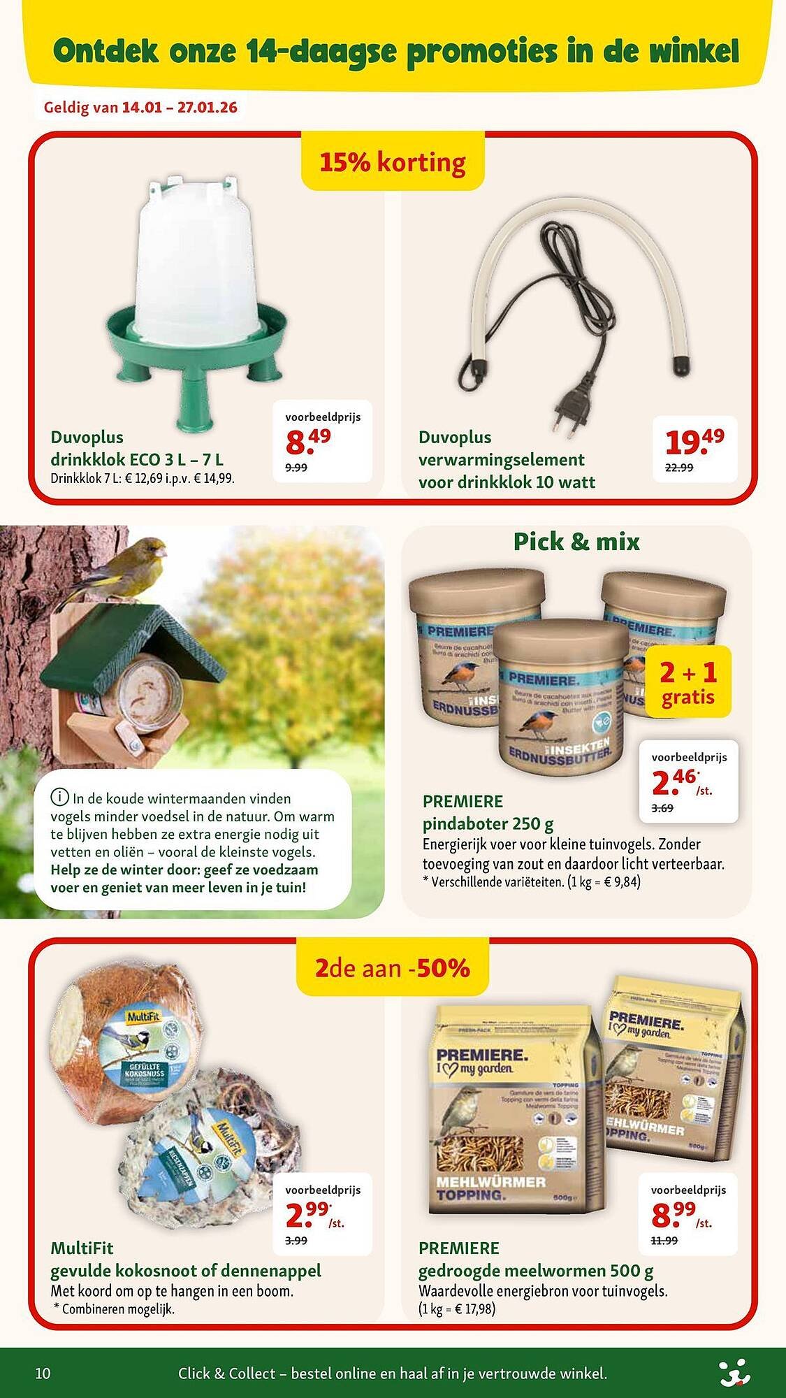 Maxi Zoo folder (2026-01-07 - 2026-02-03)