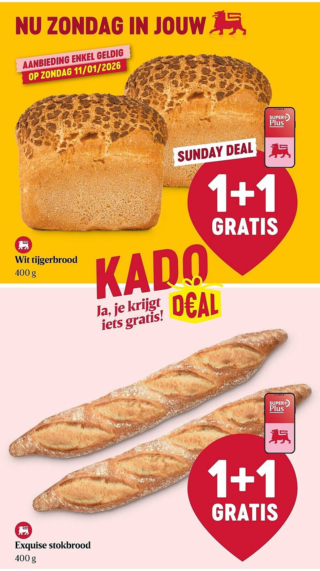 Delhaize folder (2026-01-08 - 2026-01-14)