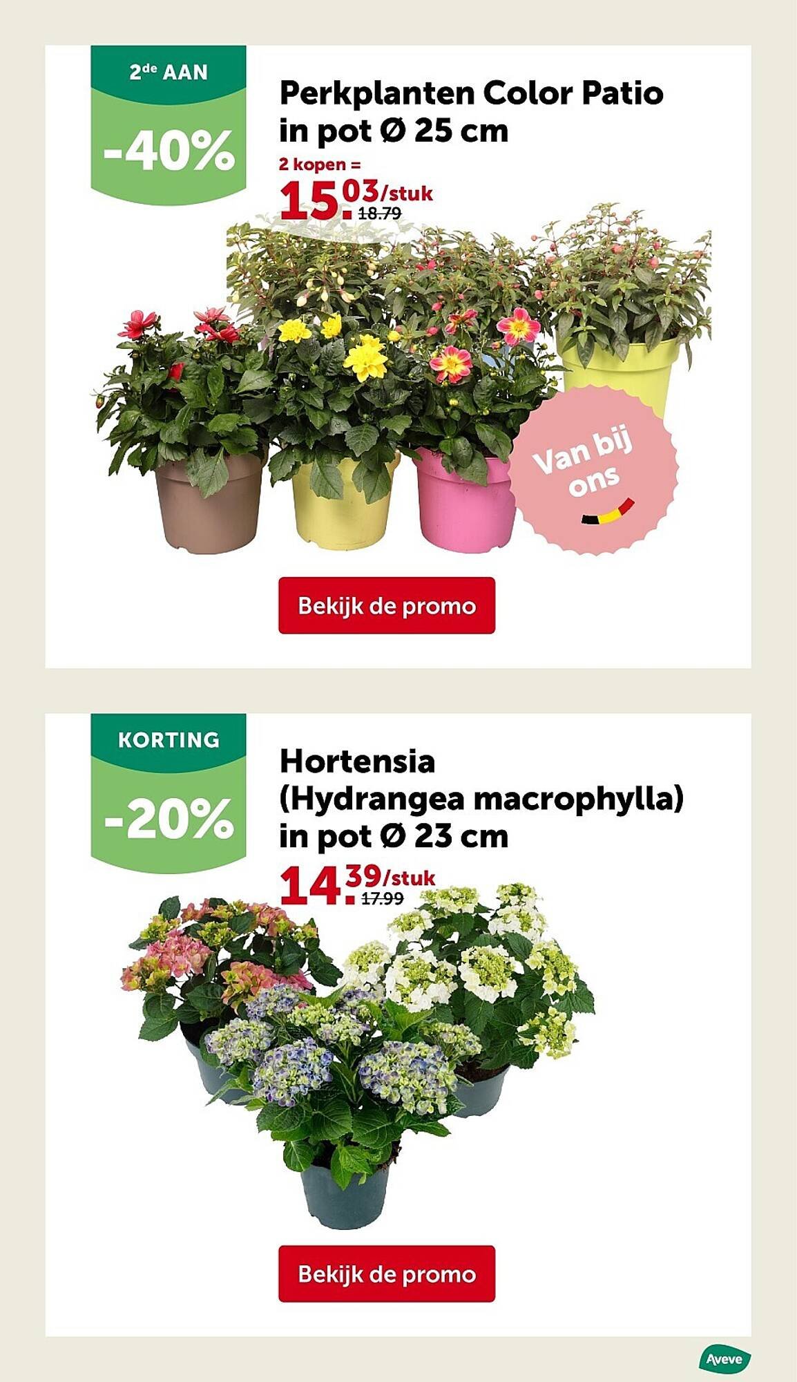 AVEVE folder (2026-04-22 - 2026-05-03)