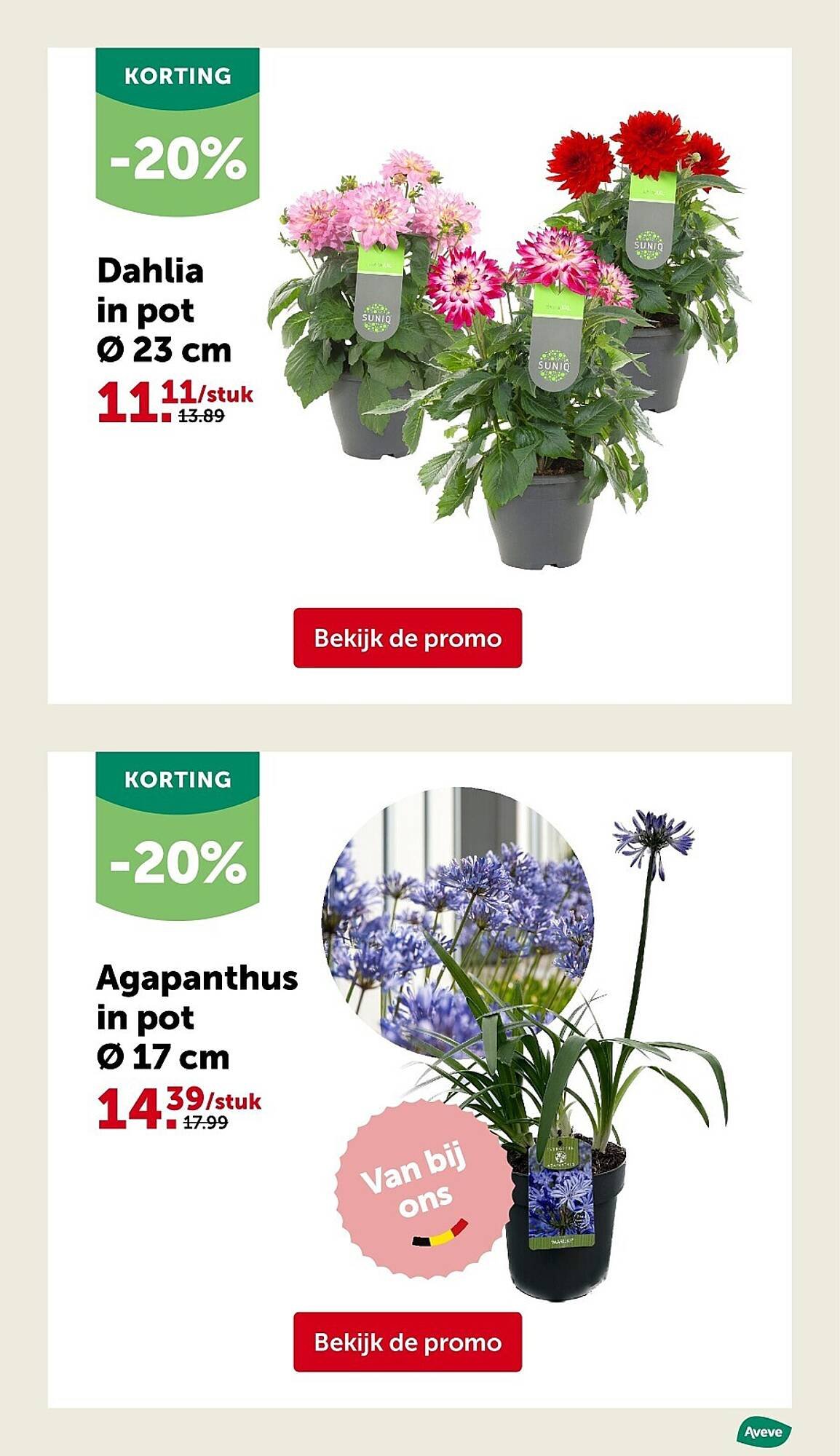 AVEVE folder (2026-04-22 - 2026-05-03)