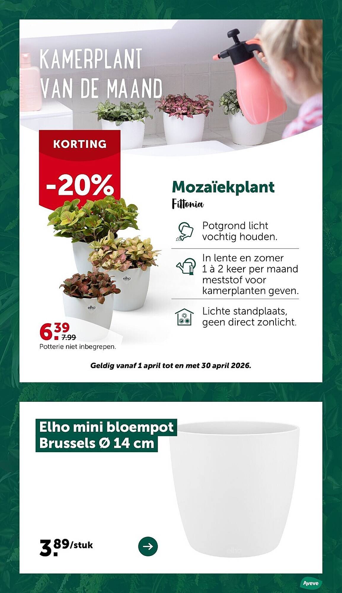 AVEVE folder (2026-04-22 - 2026-05-03)