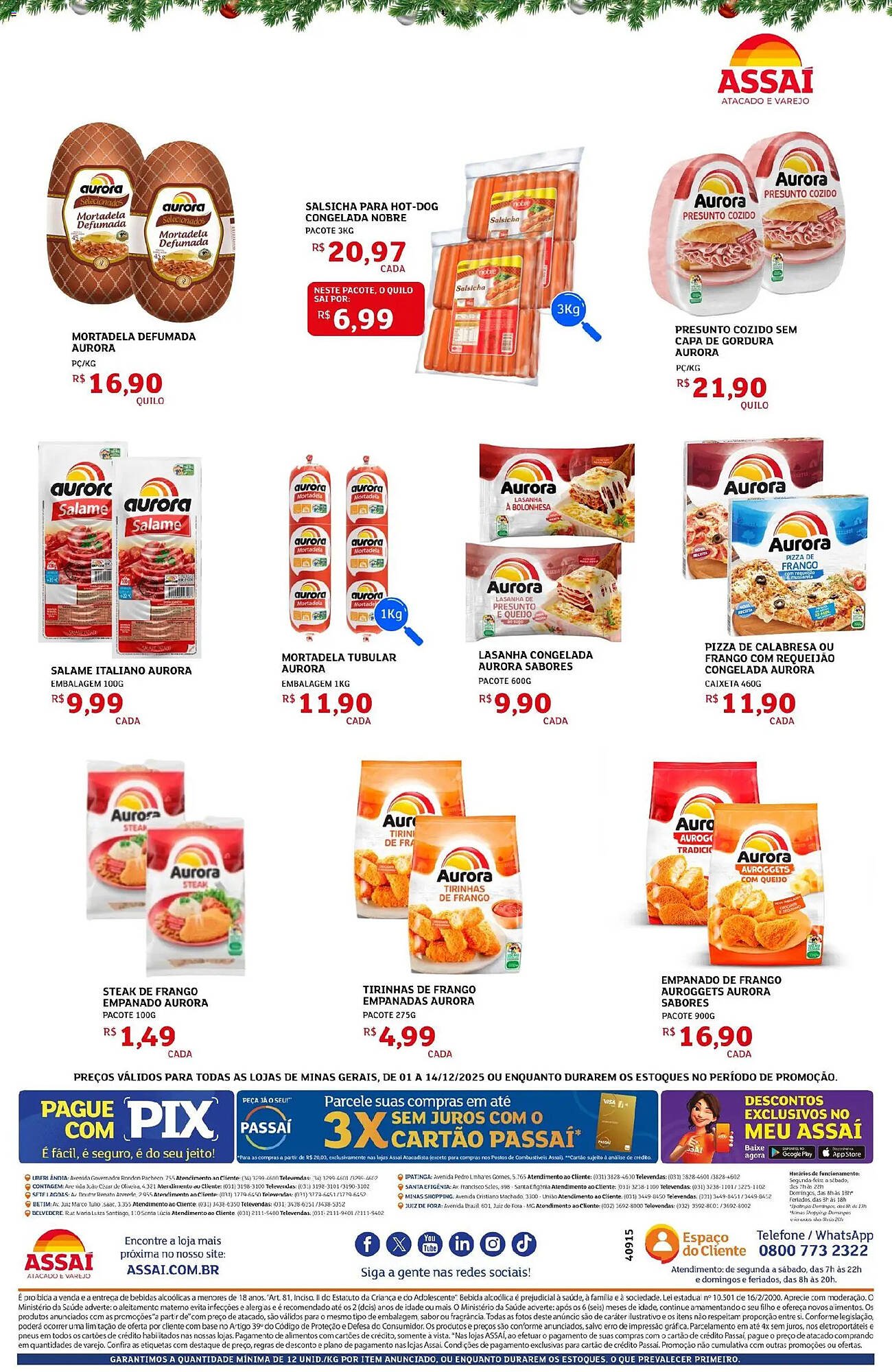 Encarte Assaí Atacadista (2025-12-01 - 2025-12-15)