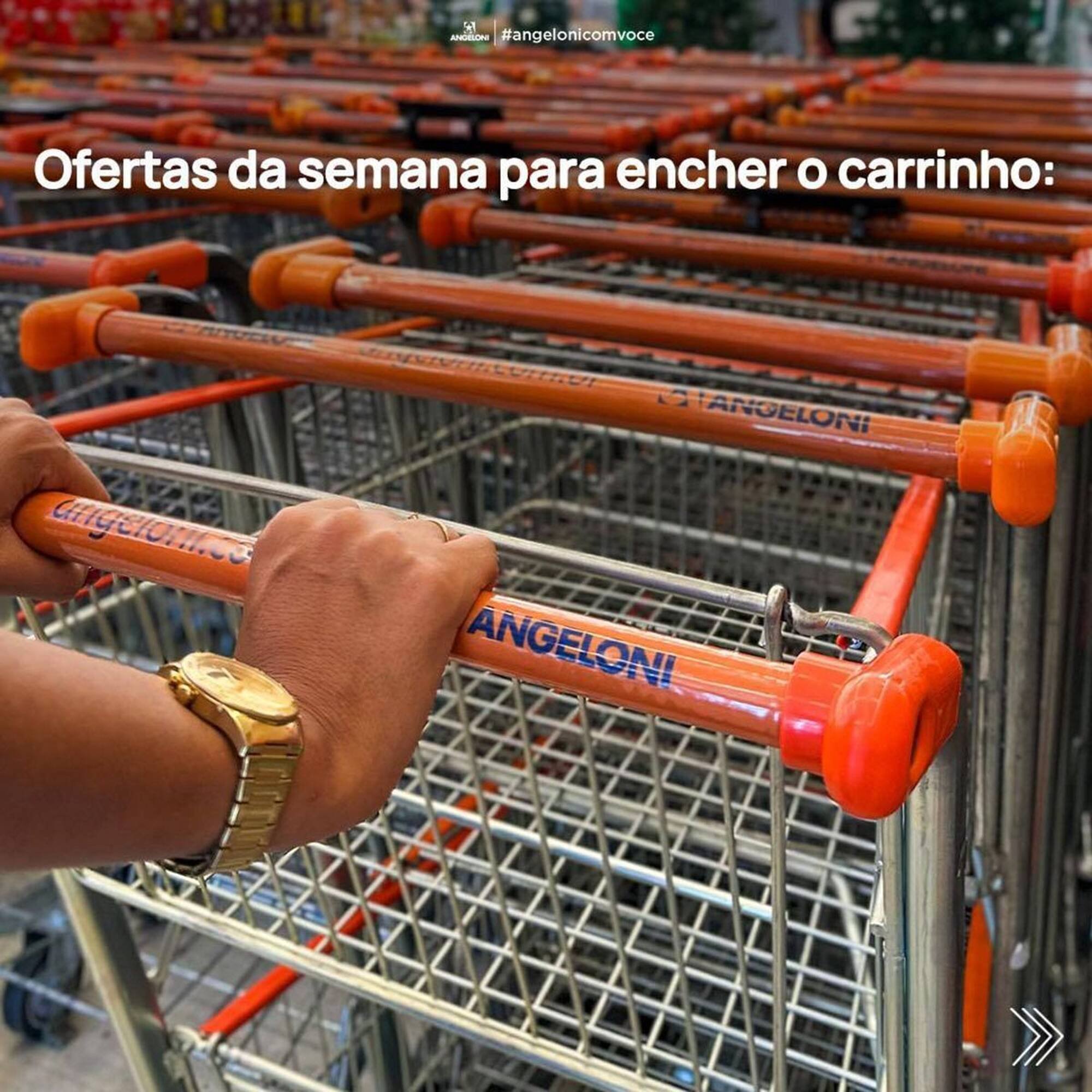 Encarte Angeloni (2025-12-09 - 2025-12-14)