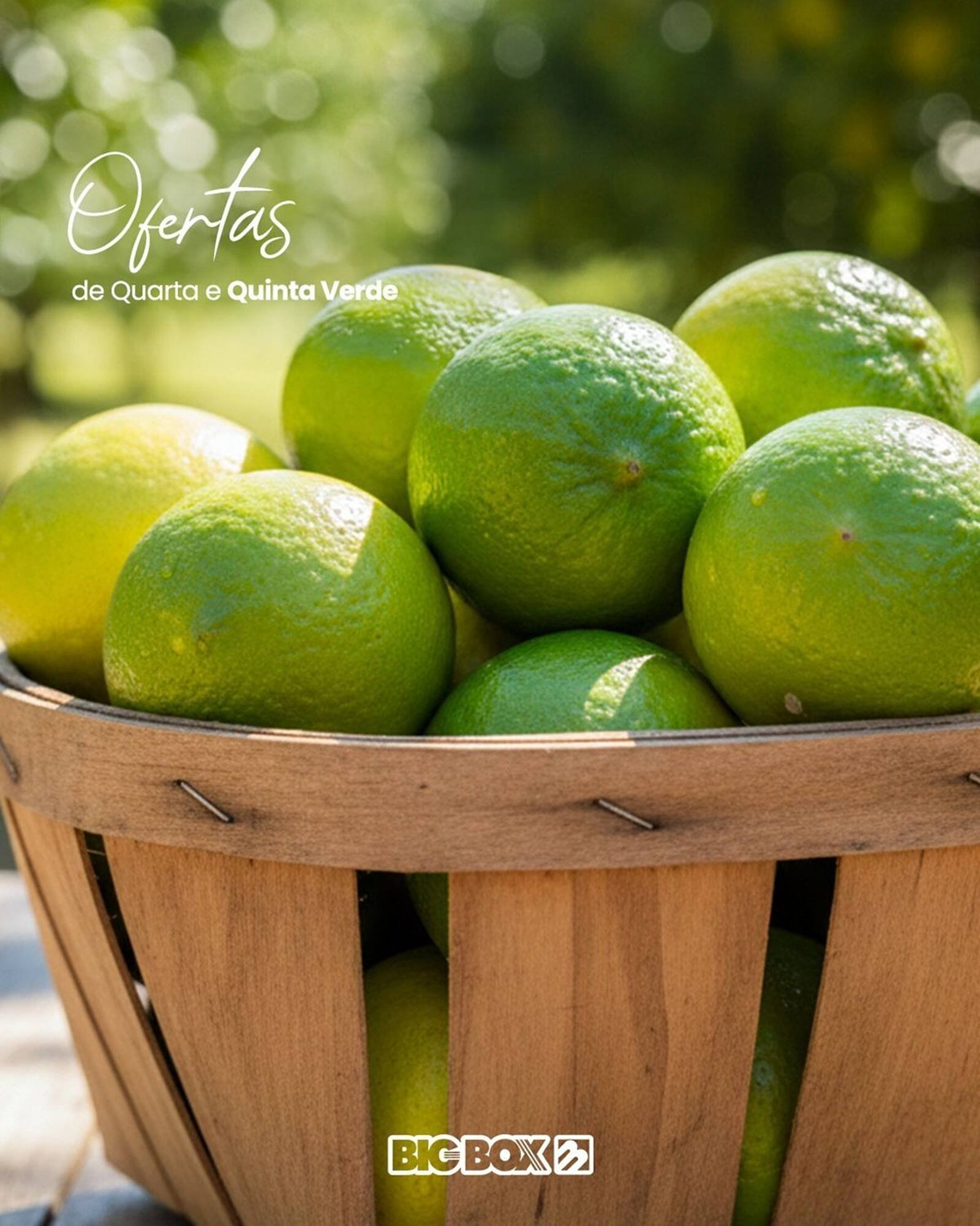 Encarte Big Box (2025-11-26 - 2025-11-30)