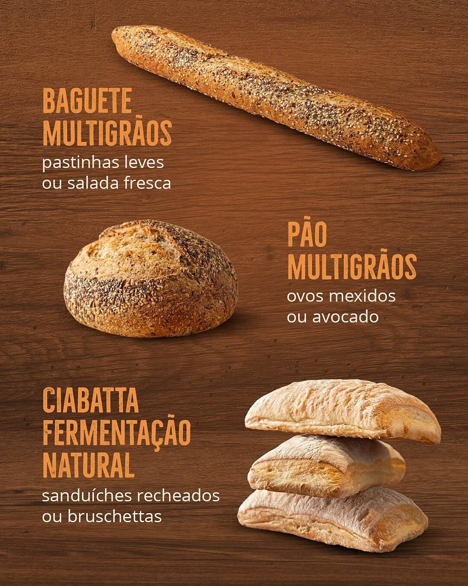 Catálogo Natural da Terra (2025-06-26 - 2025-12-22)