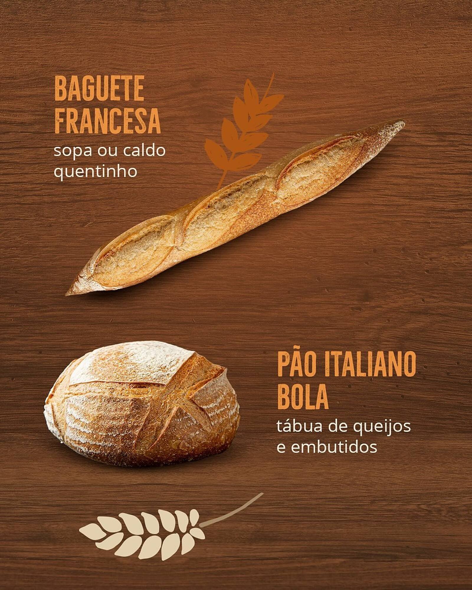 Catálogo Natural da Terra (2025-06-26 - 2025-12-22)