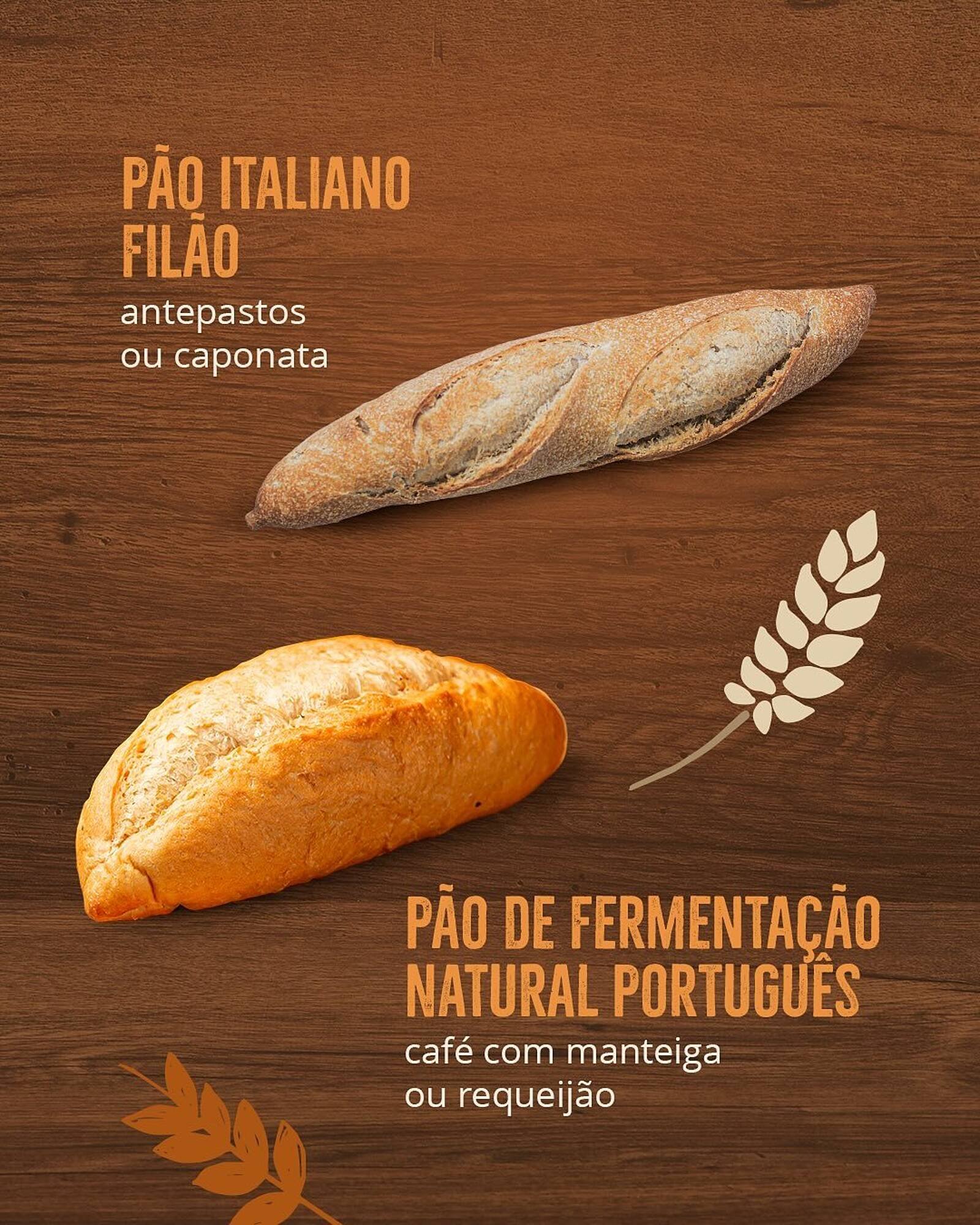 Catálogo Natural da Terra (2025-06-26 - 2025-12-22)