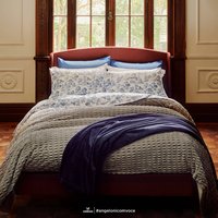 Encarte Angeloni (2026-04-17 - 2026-04-20)