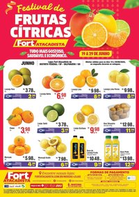 Catálogo Fort Atacadista (2025-06-29 - 2025-12-19)