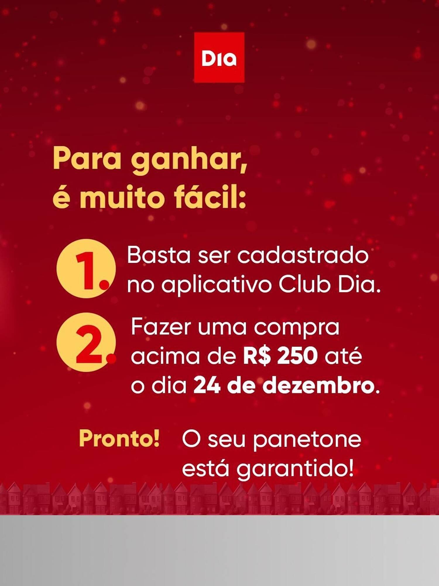 Tabloide Dia (2025-12-11 - 2025-12-24)