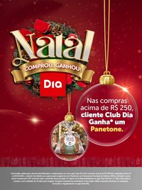 Tabloide Dia (2025-12-11 - 2025-12-24)