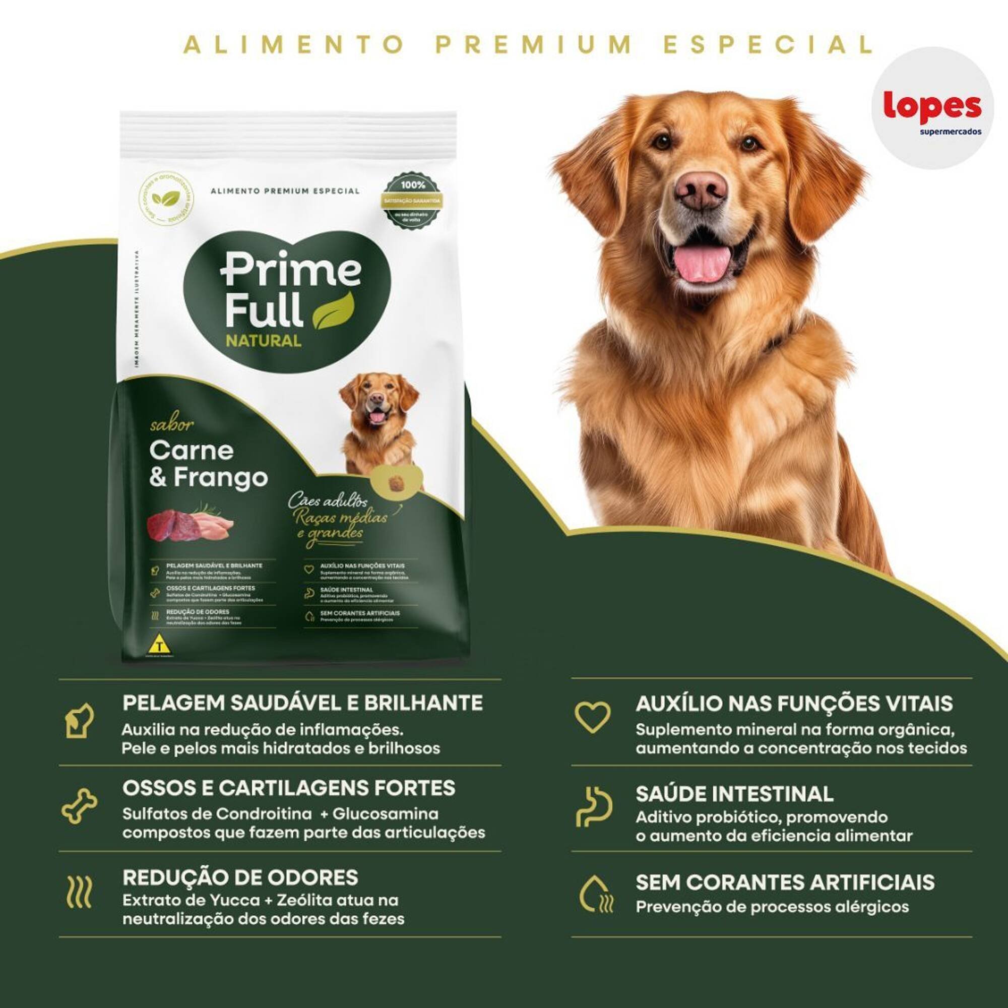 Catálogo Lopes Supermercados (2025-06-28 - 2025-12-22)