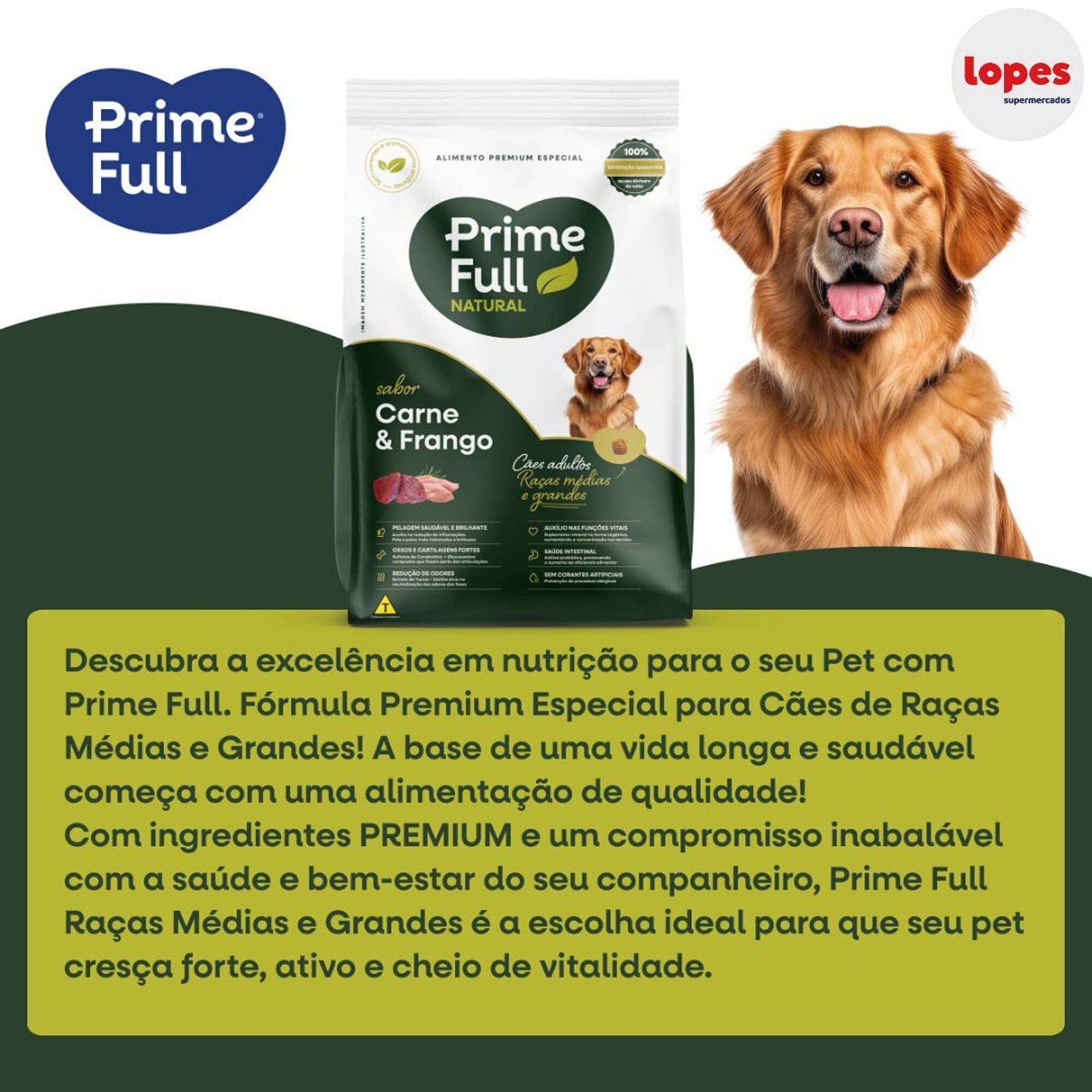 Catálogo Lopes Supermercados (2025-06-28 - 2025-12-22)